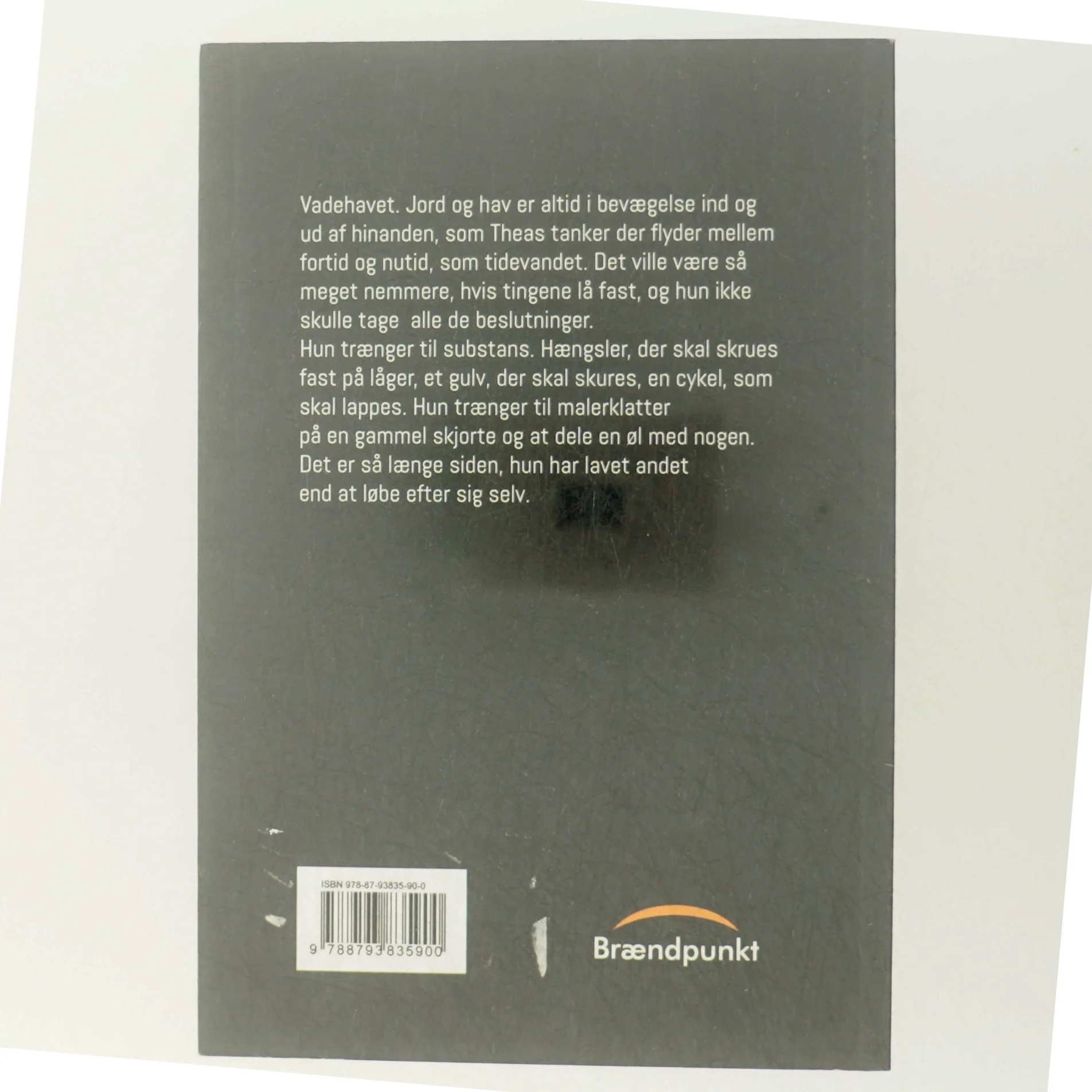 Fugleflugt : roman af Christine Tjalve (Bog)