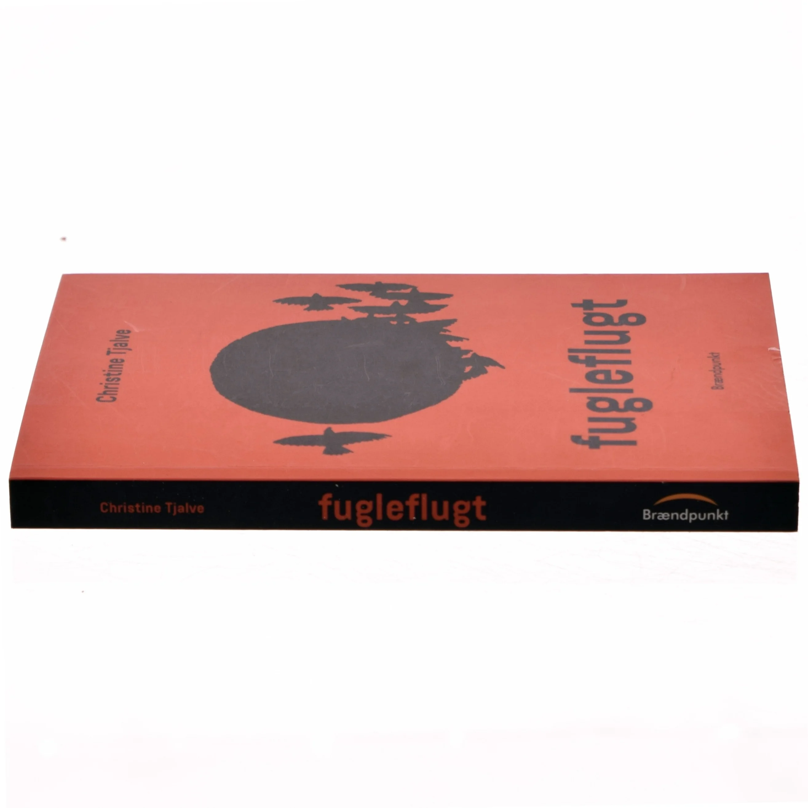 Fugleflugt : roman af Christine Tjalve (Bog)