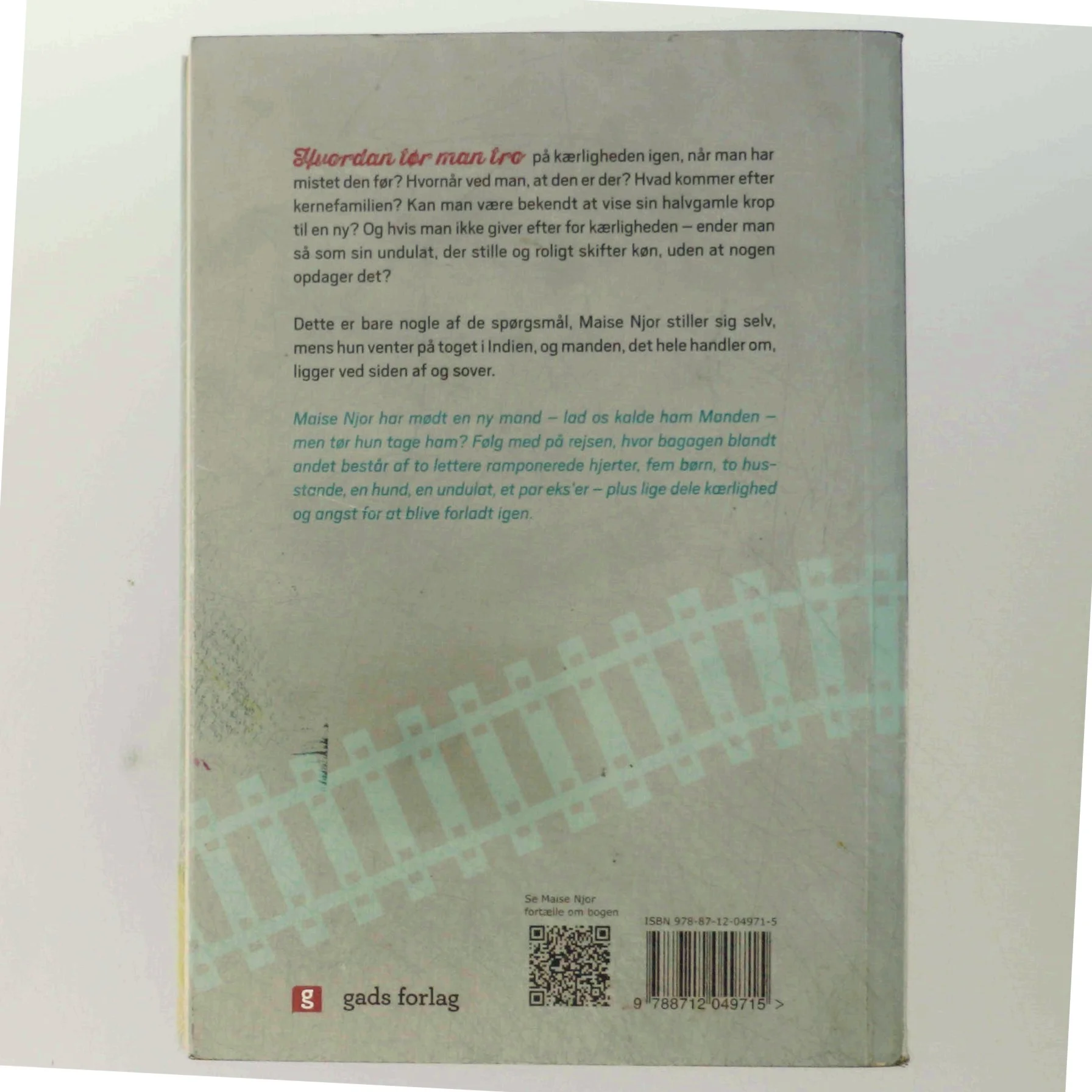 Den forkerte giraf : om indisk togdrift og kærlighed af Maise Njor (Bog)