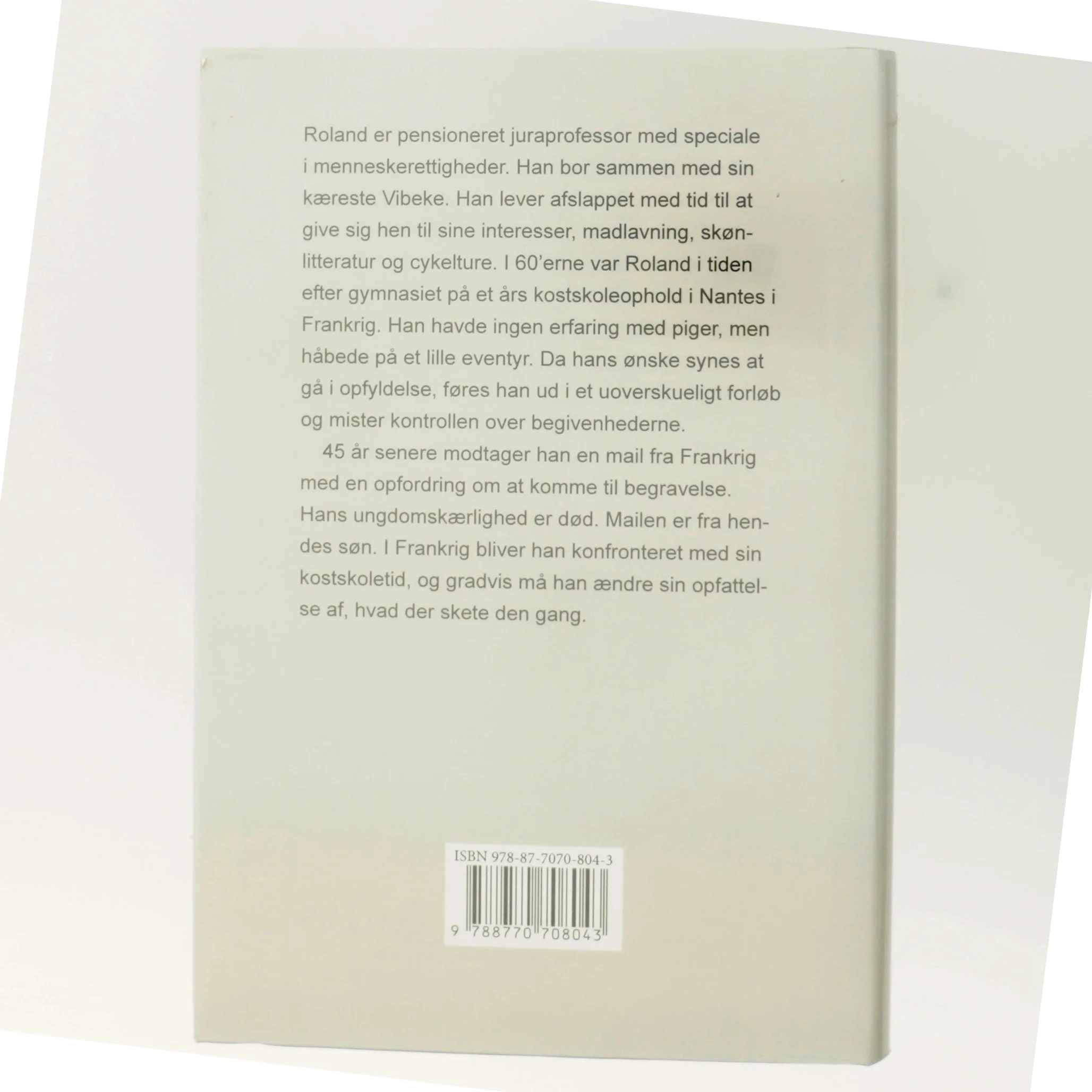 En uendelig affære : roman af Georg Lett (Bog)