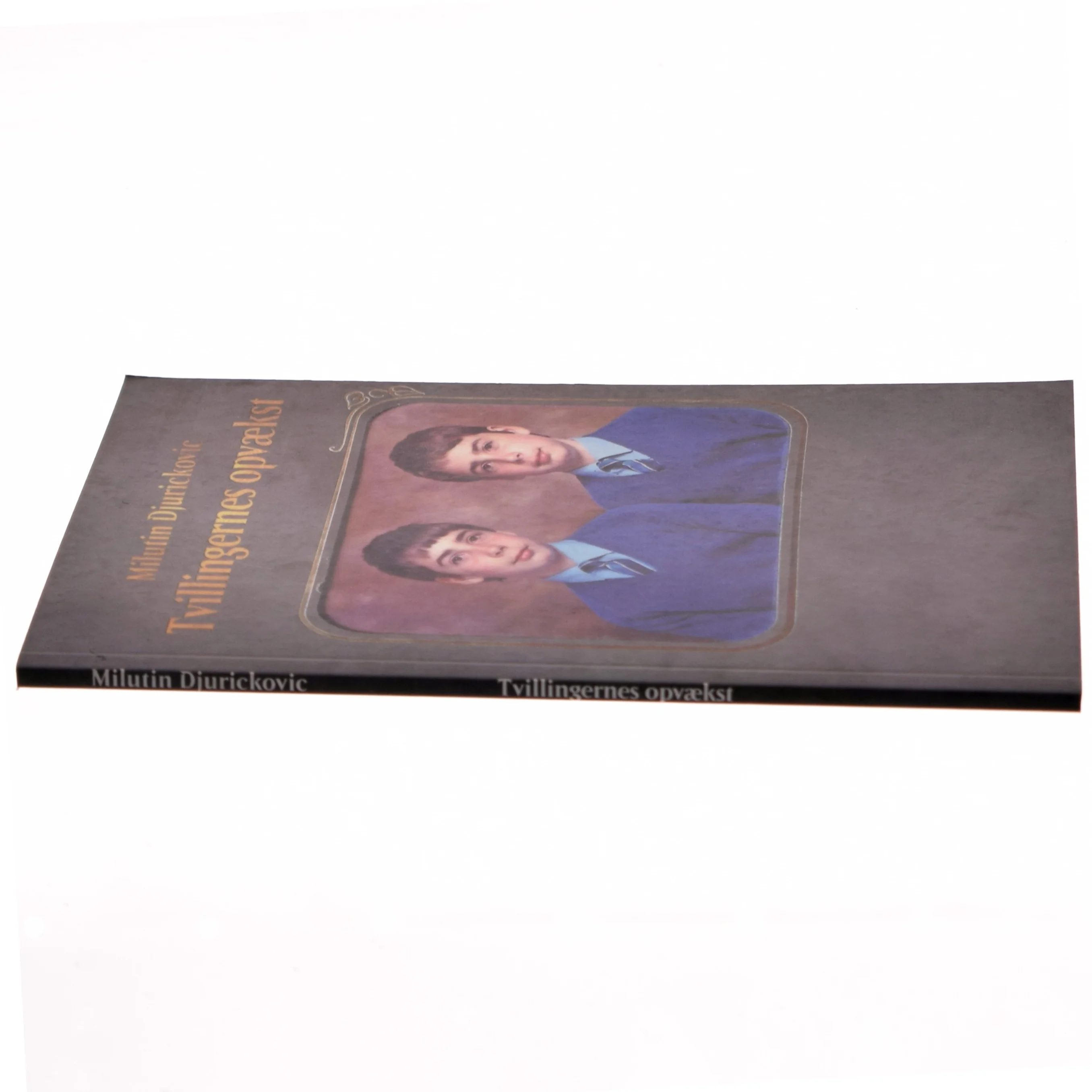 Tvillingernes opvækst : en samling historier om og for børn, og børn der er blevet voksne af Milutin Đuričković (f. 1967) (Bog)