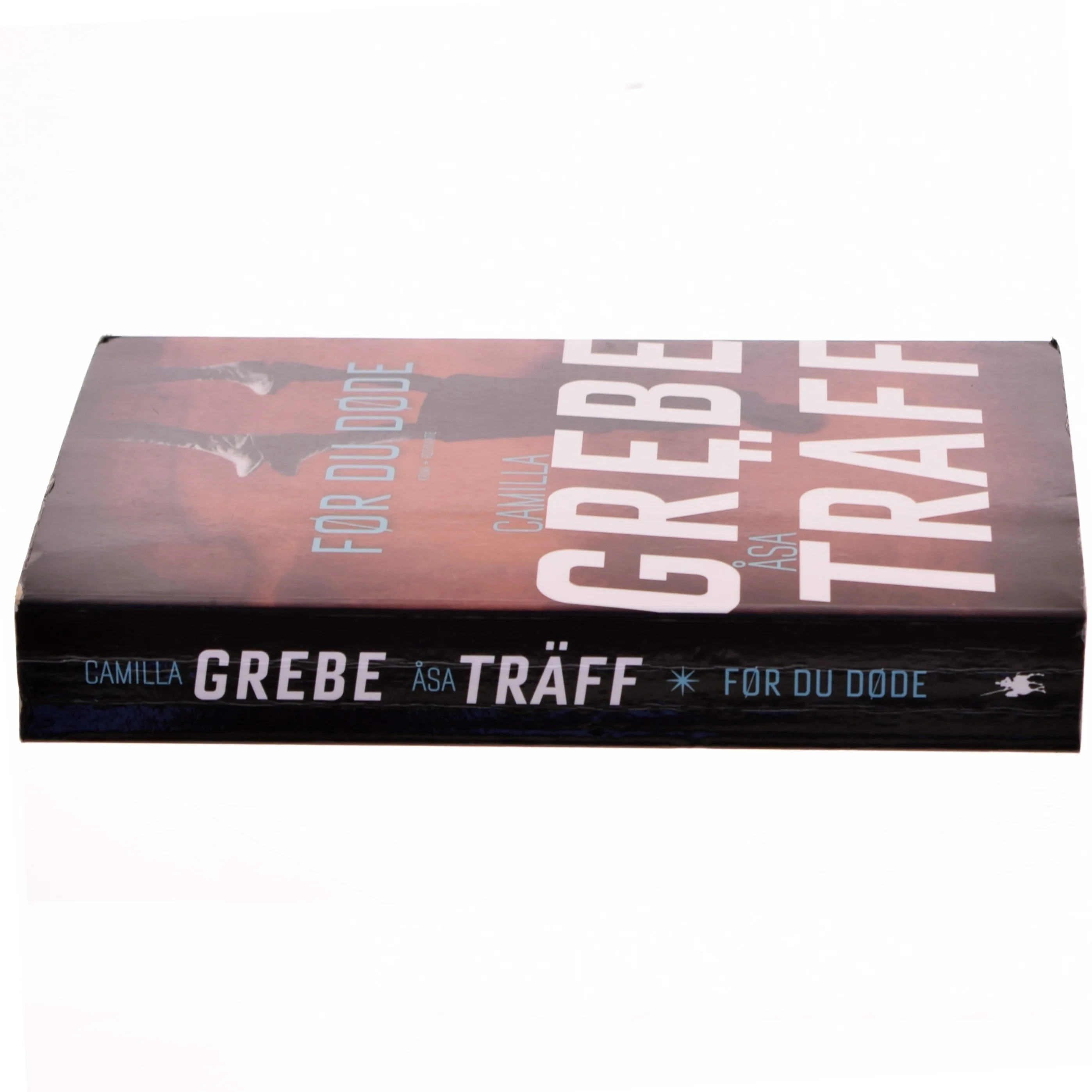 Før du døde af Camilla Grebe (Bog)