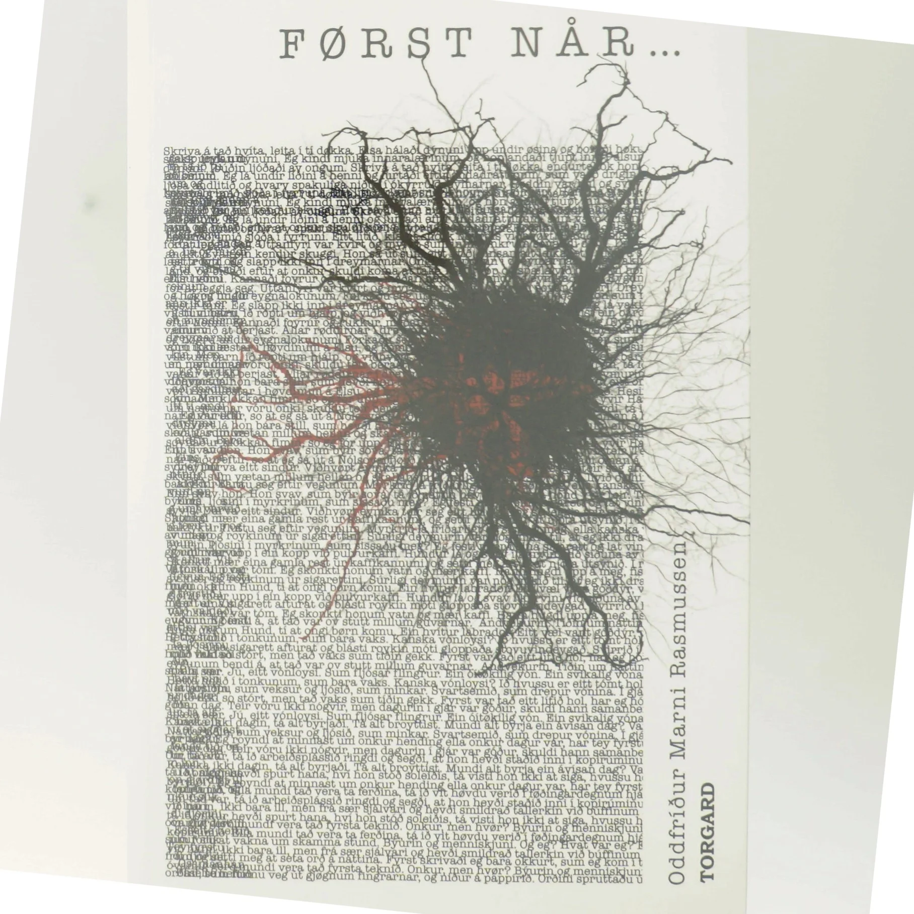 Først når - : roman af Oddfríður Marni Rasmussen (Bog)