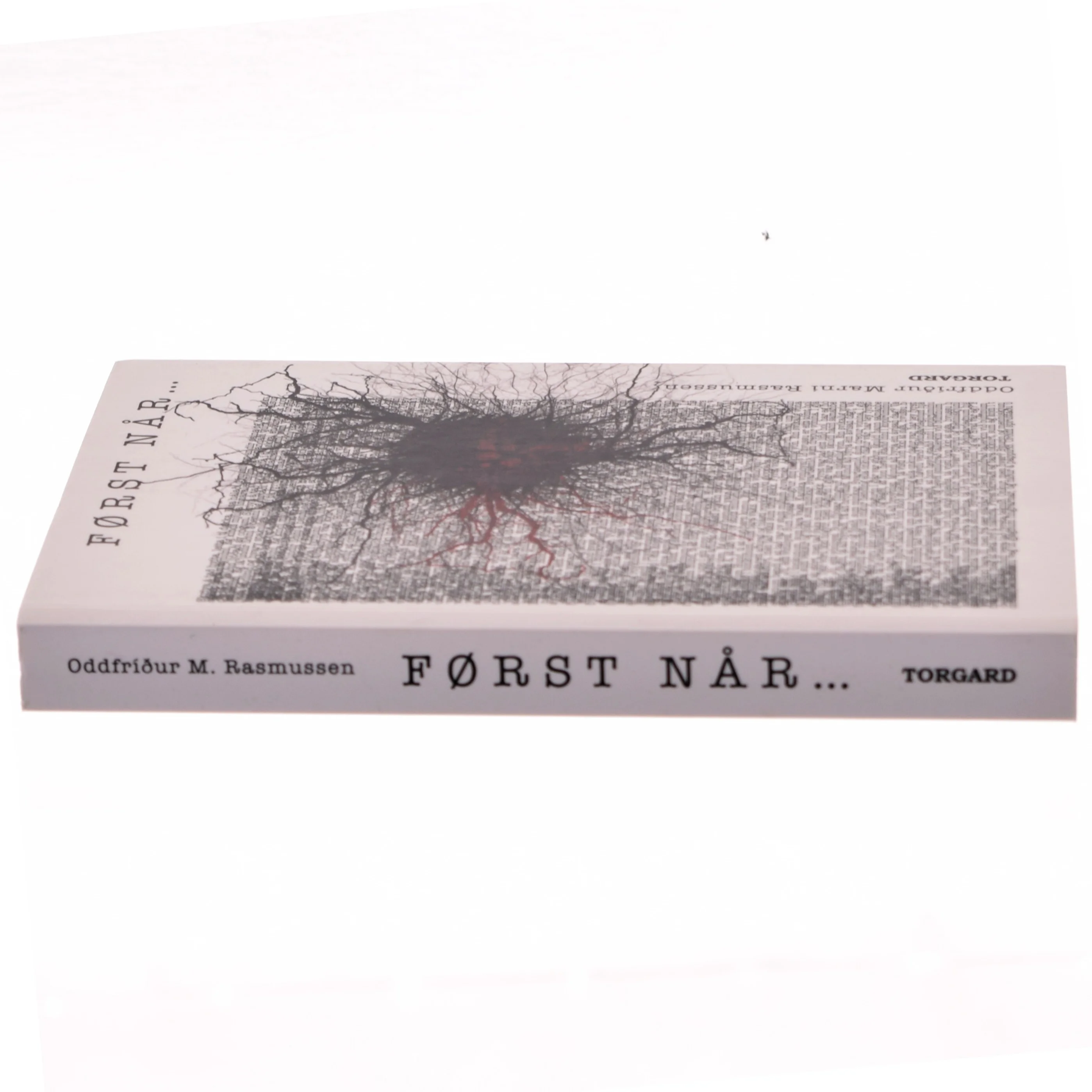 Først når - : roman af Oddfríður Marni Rasmussen (Bog)