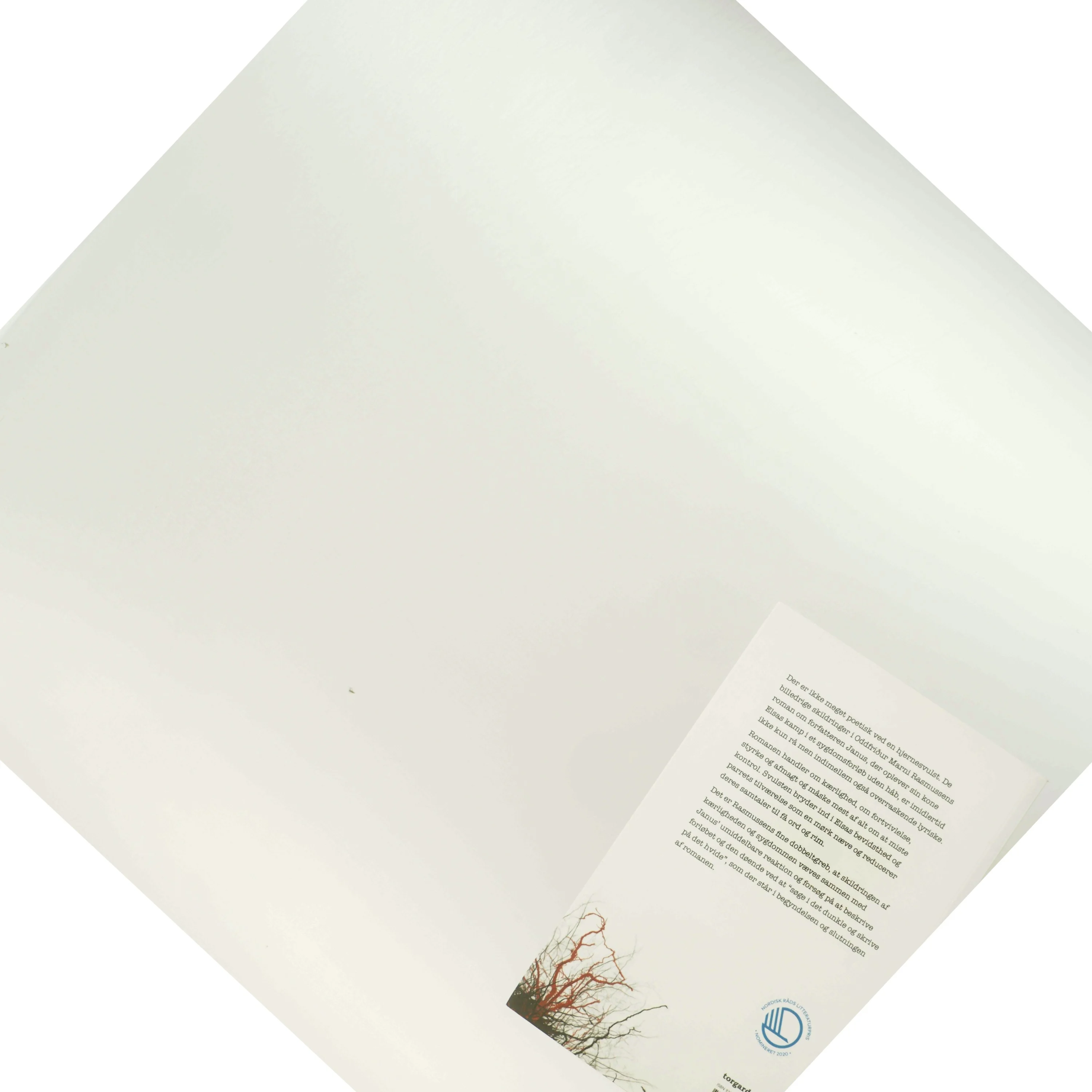 Først når - : roman af Oddfríður Marni Rasmussen (Bog)