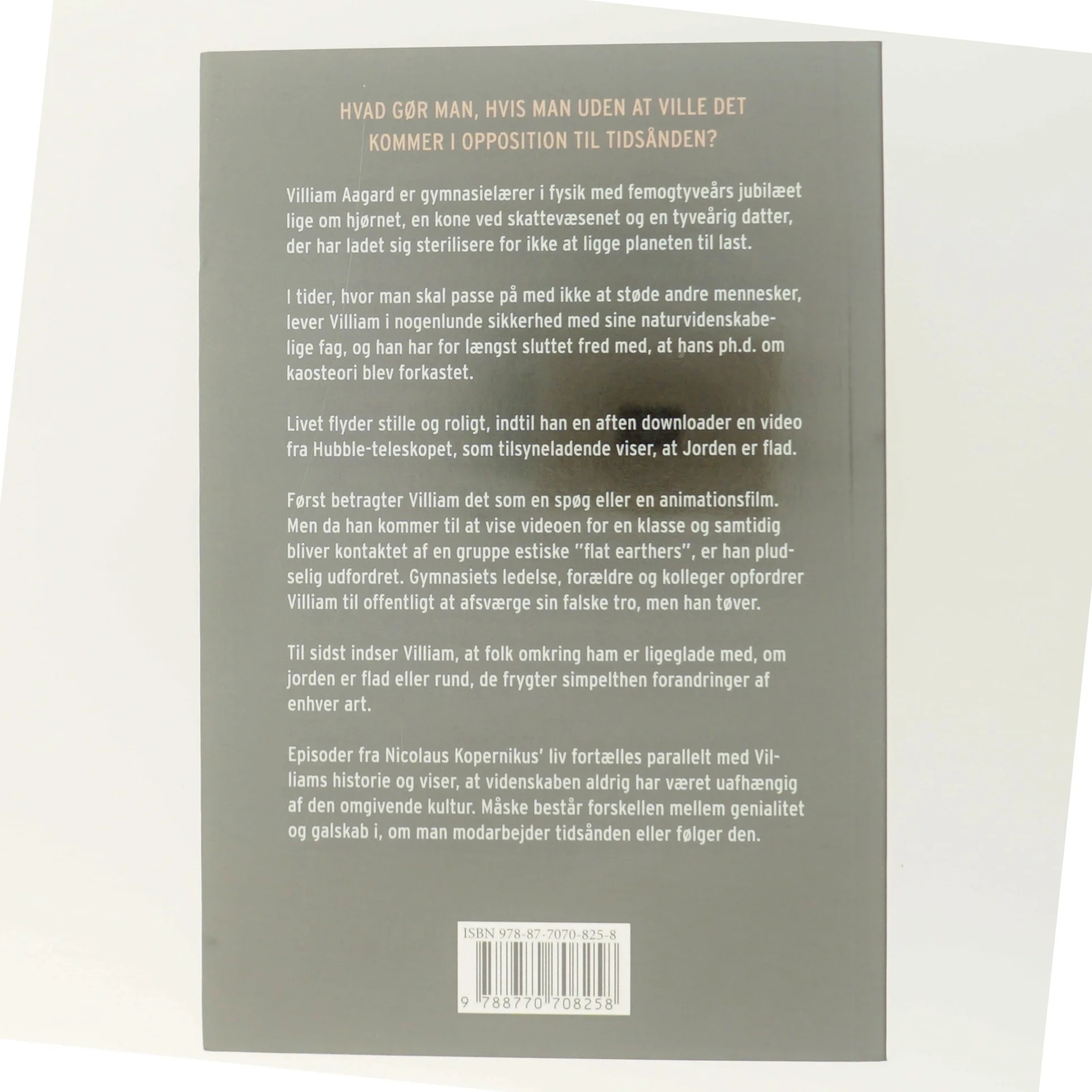 Manden der opdagede, at jorden er flad : roman af Jacob Jonia (Bog)