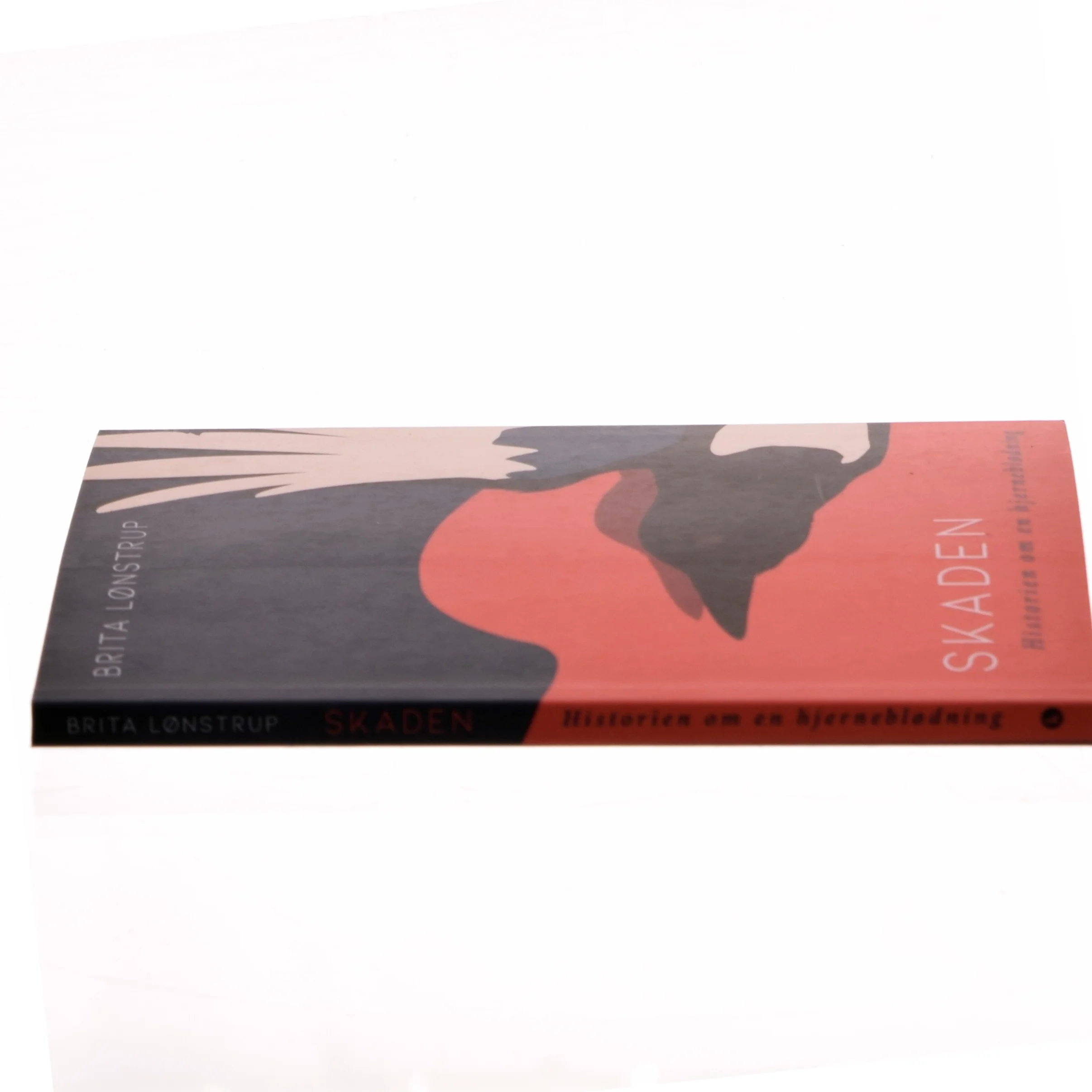 Skaden : historien om en hjerneblødning af Brita Lønstrup (Bog)