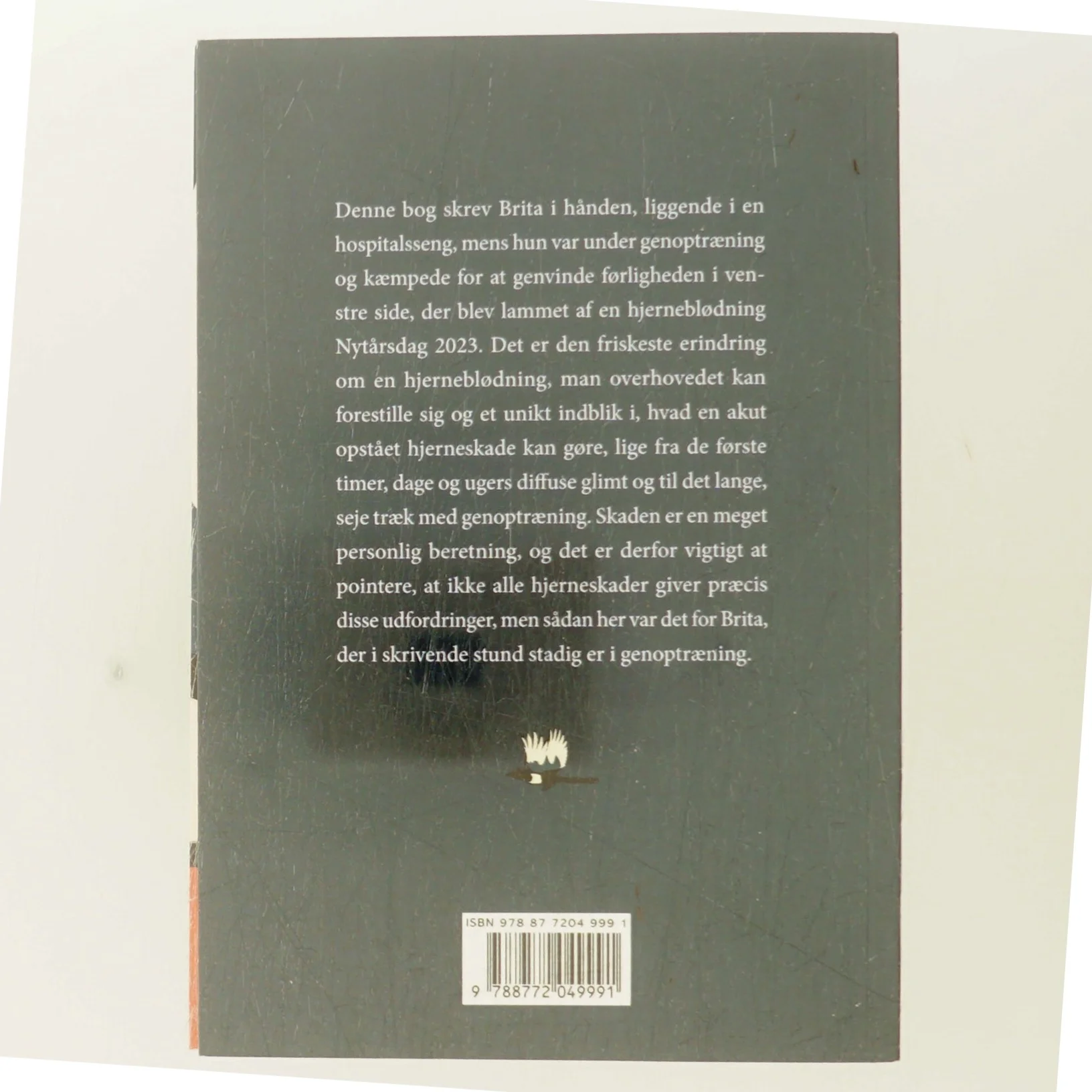 Skaden : historien om en hjerneblødning af Brita Lønstrup (Bog)