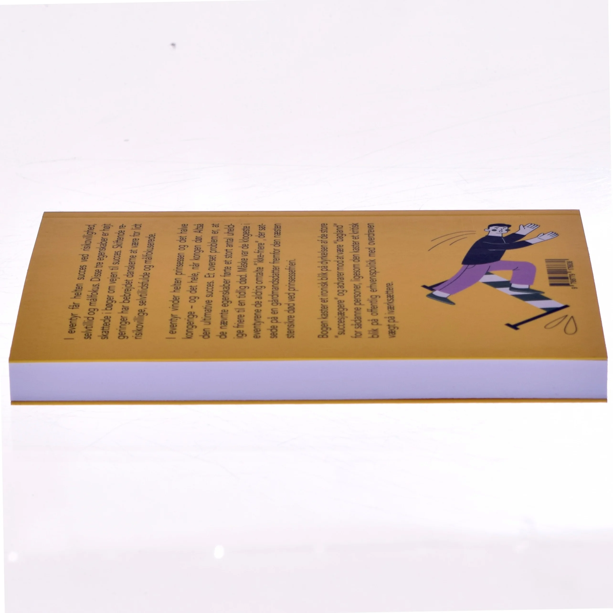 Fakta og fordomme om vejen til succes af Michael Møller (Bog)