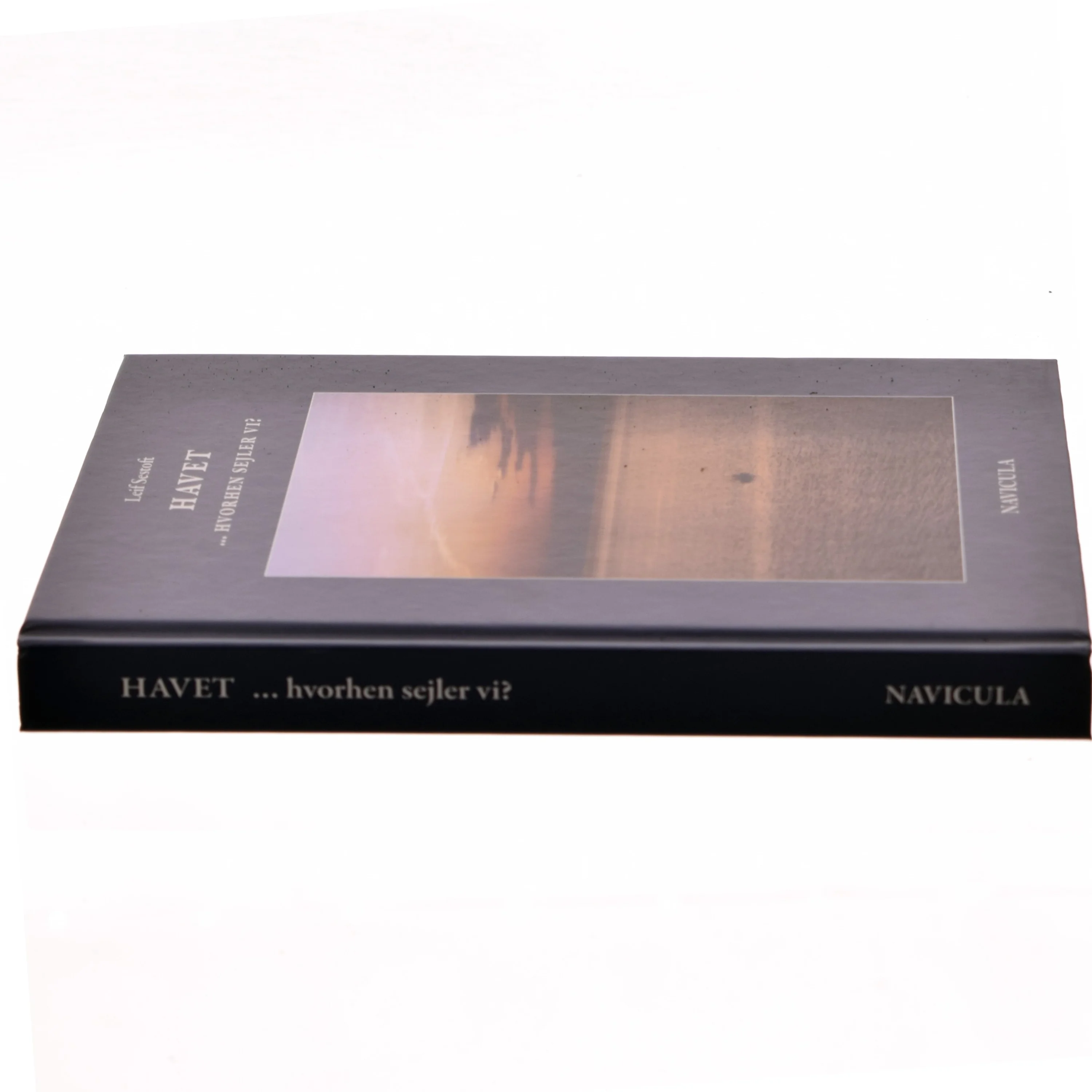 Havet - hvorhen sejler vi? : illustreret med sindbilleder og evighedsbilleder af Leif Sestoft (Bog)