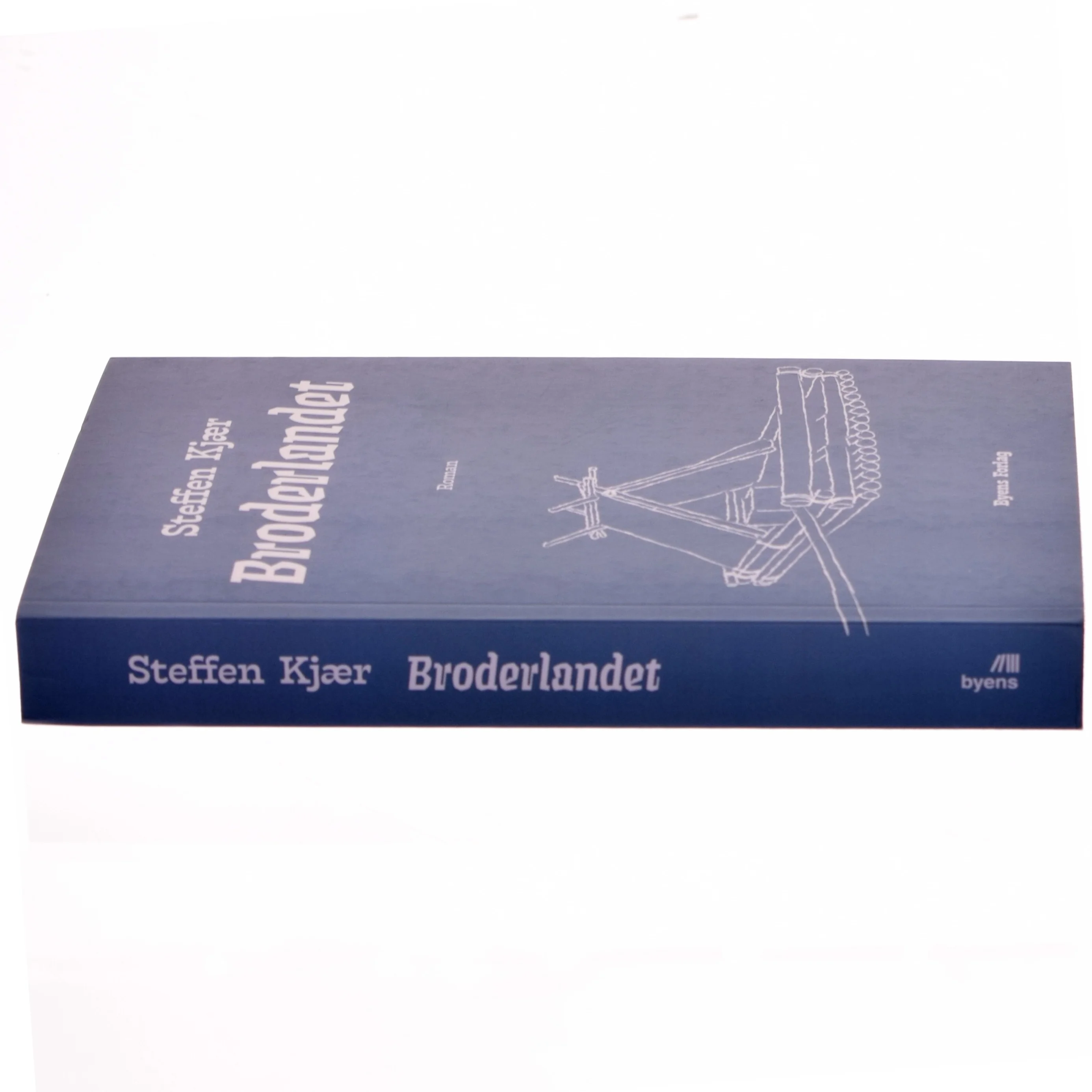 Broderlandet : roman af Steffen Kjær (Bog)