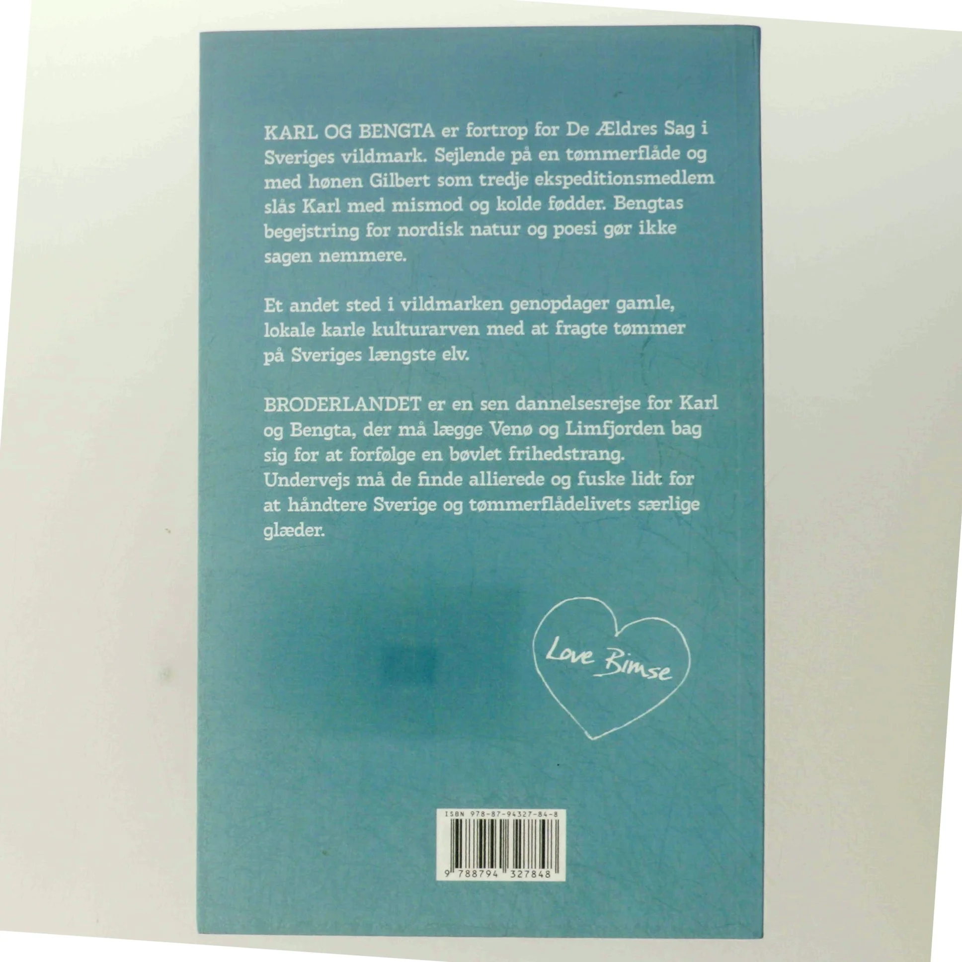 Broderlandet : roman af Steffen Kjær (Bog)