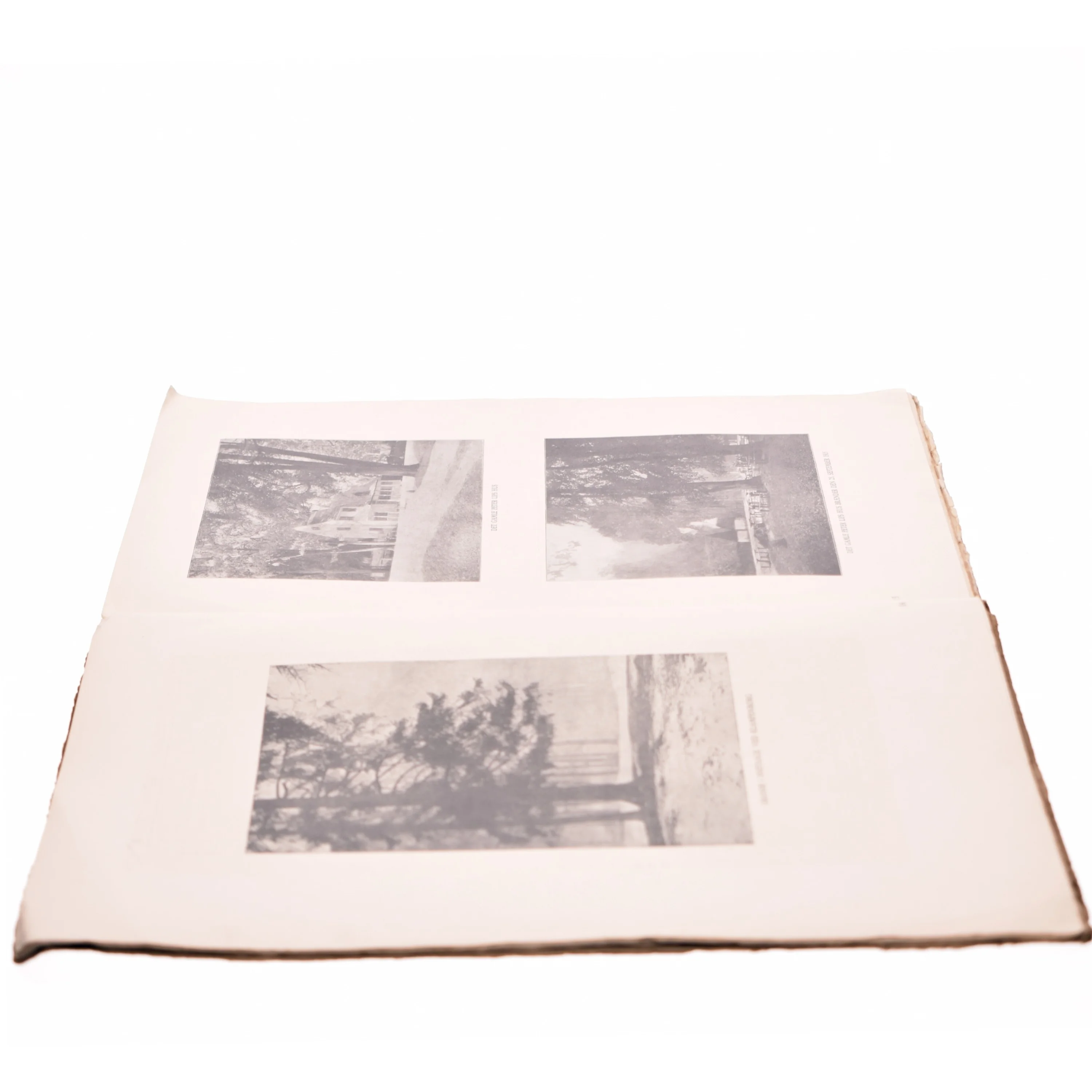 Danske billeder, Dyrehaven af Sigvart Werner