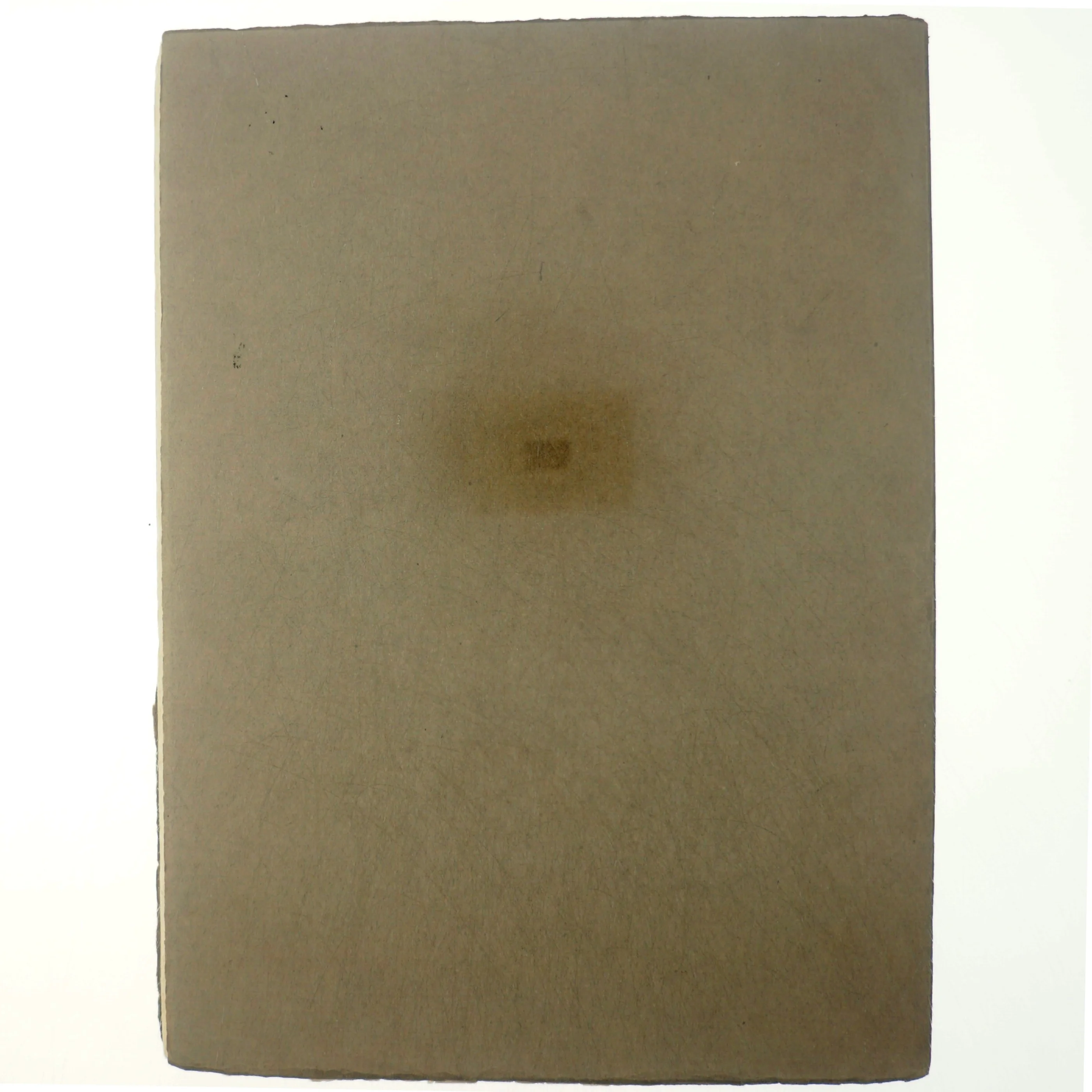 Danske billeder, Dyrehaven af Sigvart Werner