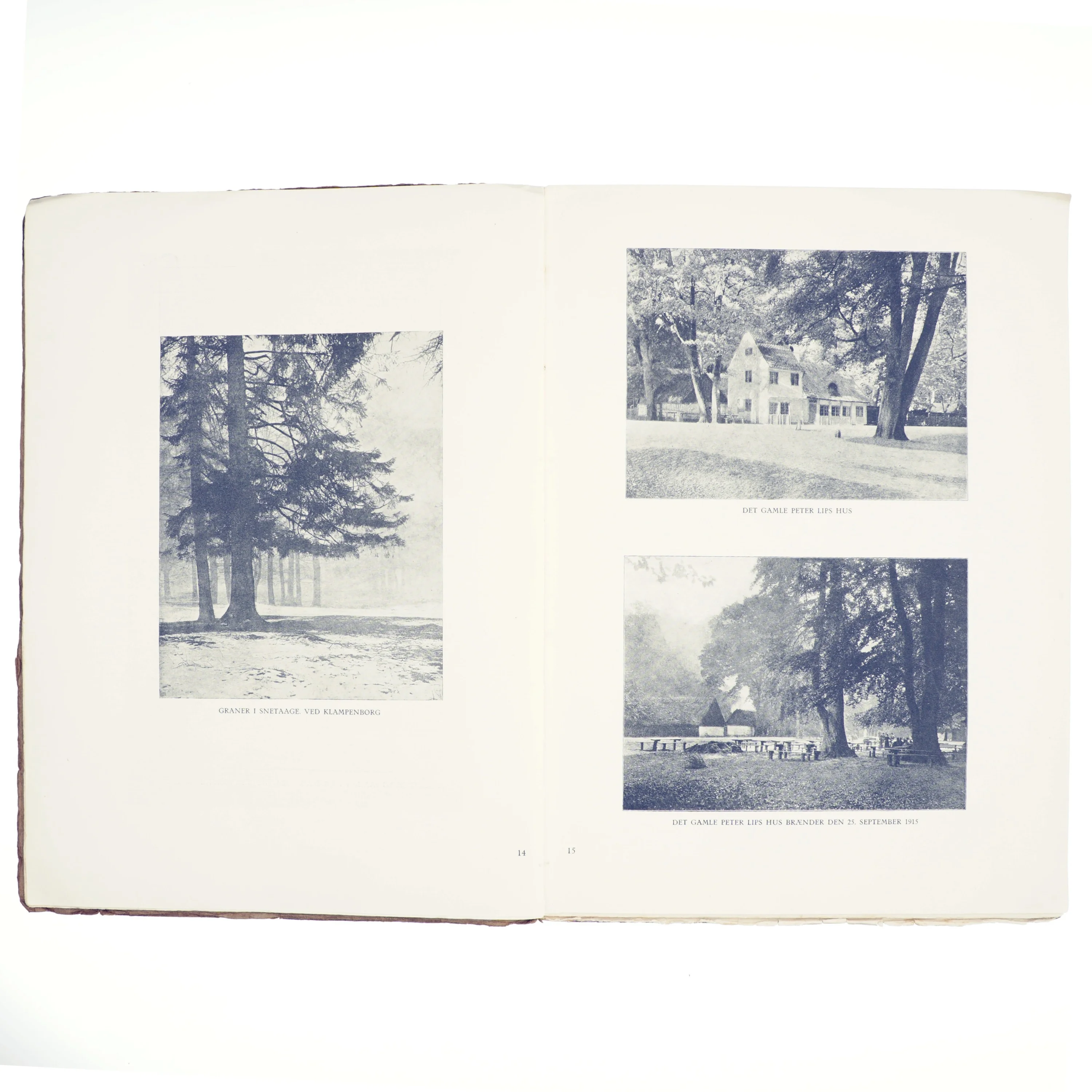 Danske billeder, Dyrehaven af Sigvart Werner