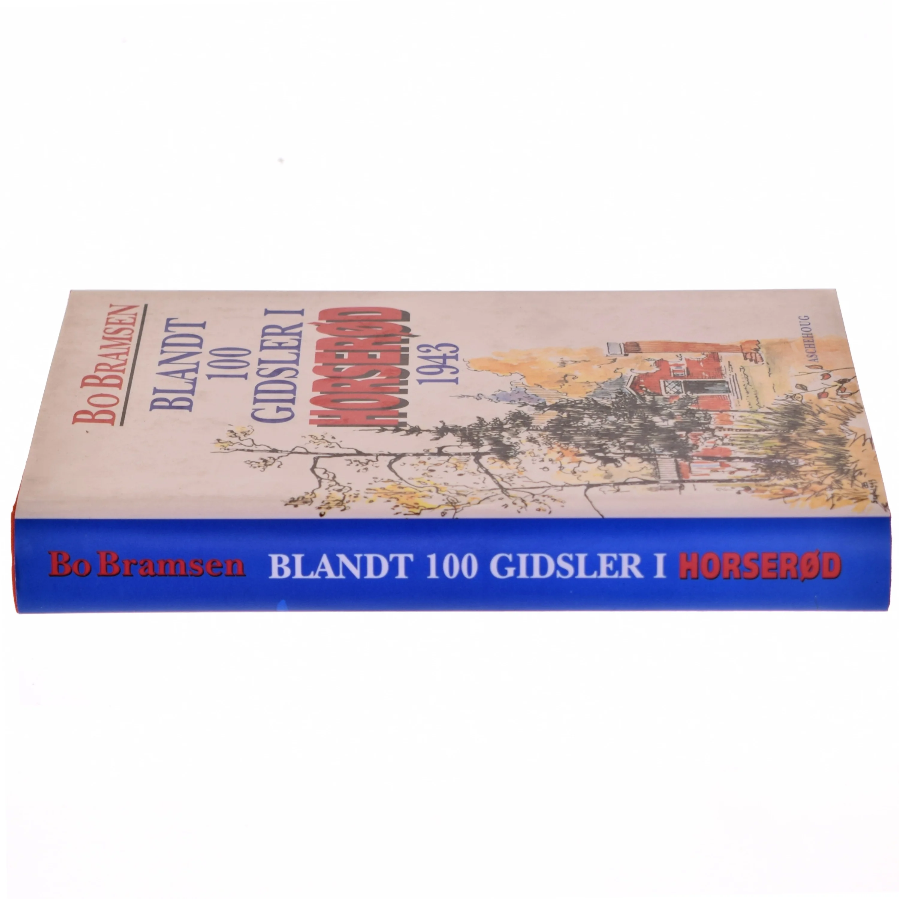 Blandt 100 gidsler i Horserød 1943 : med forspil, efterspil og historisk tillæg af Bo Bramsen (Bog)