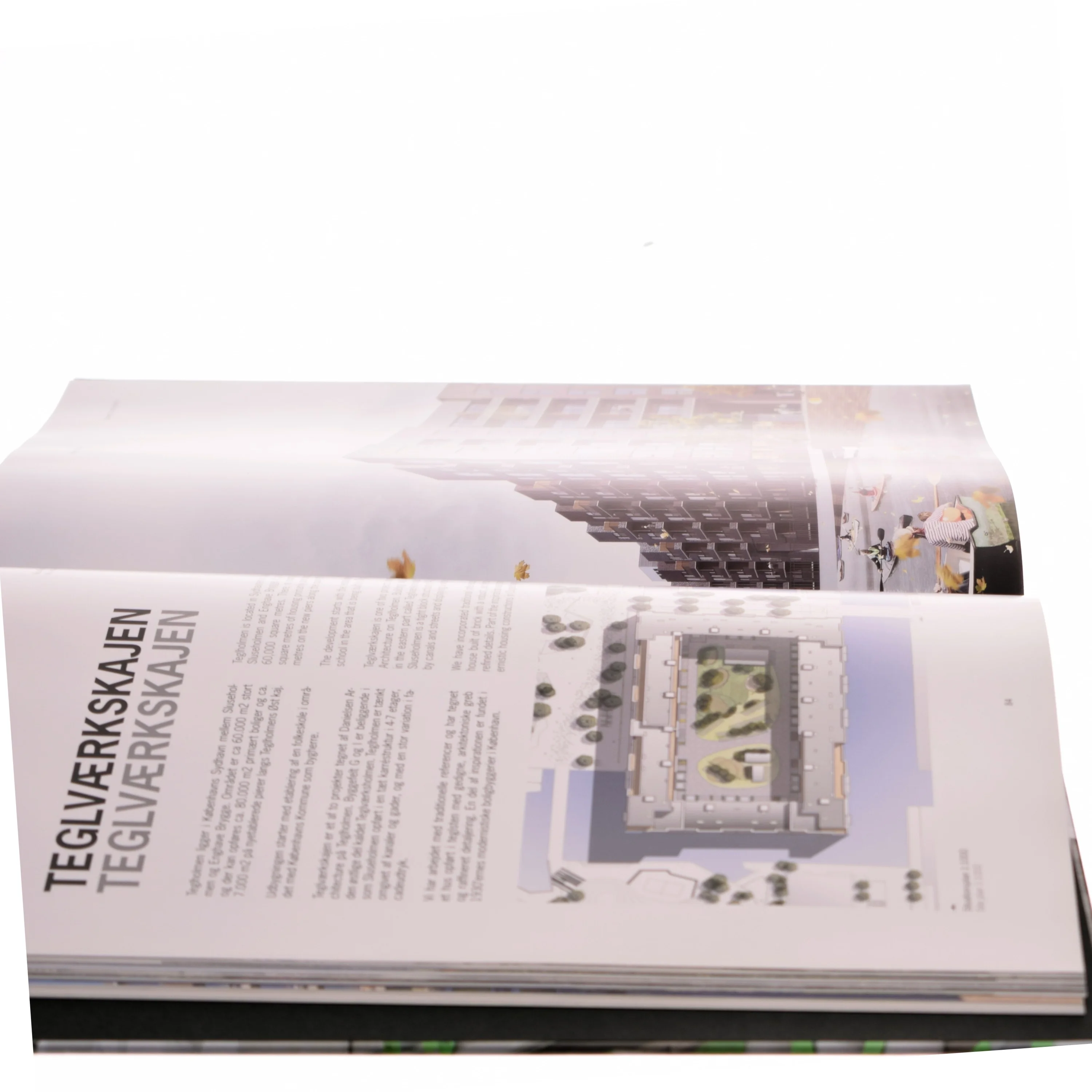 Boliger / Housing af Danielsen Architects (bog)