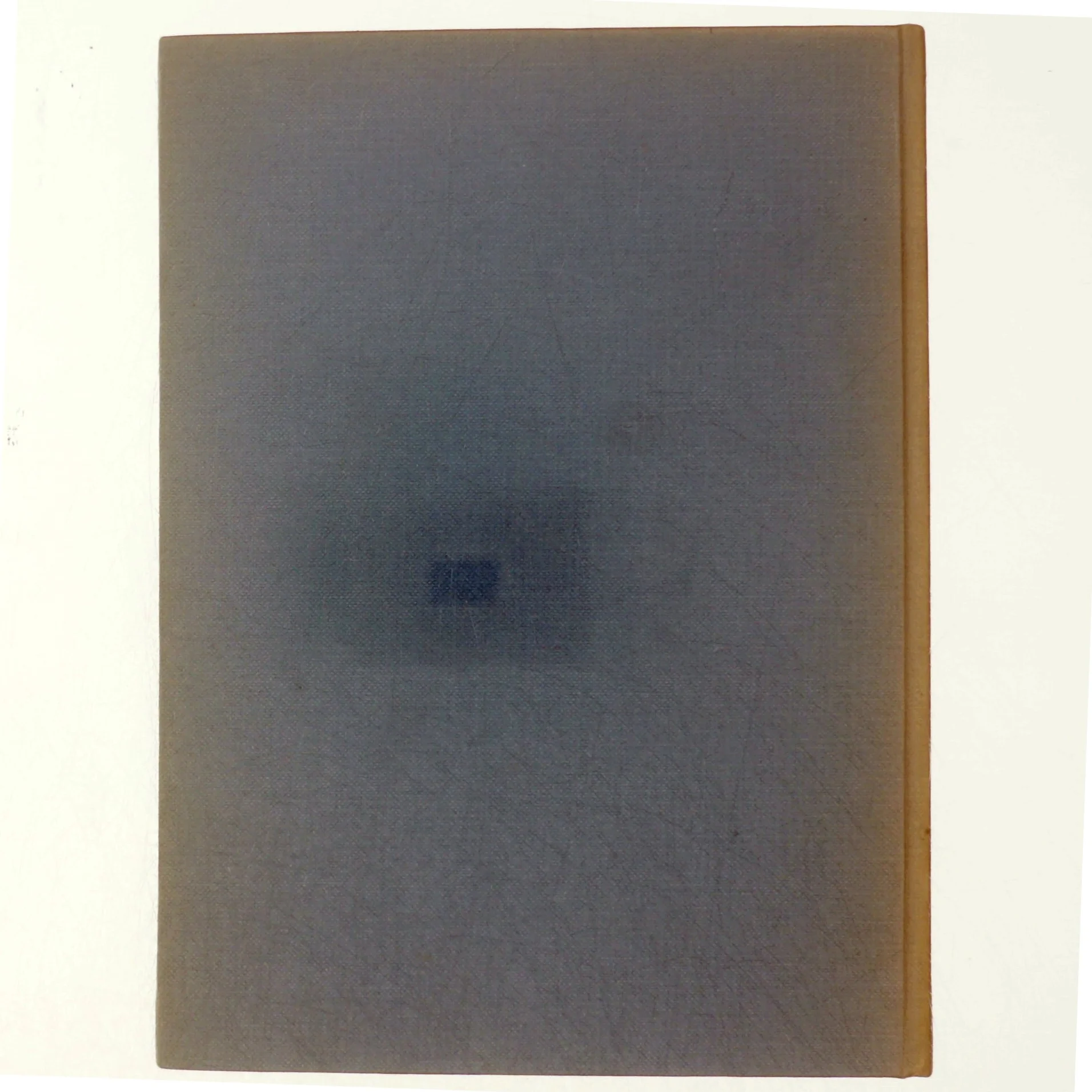 DANMARK: Gyldendals Egnsbeskrivelse Bind 5-Sydsjælland (Bog)