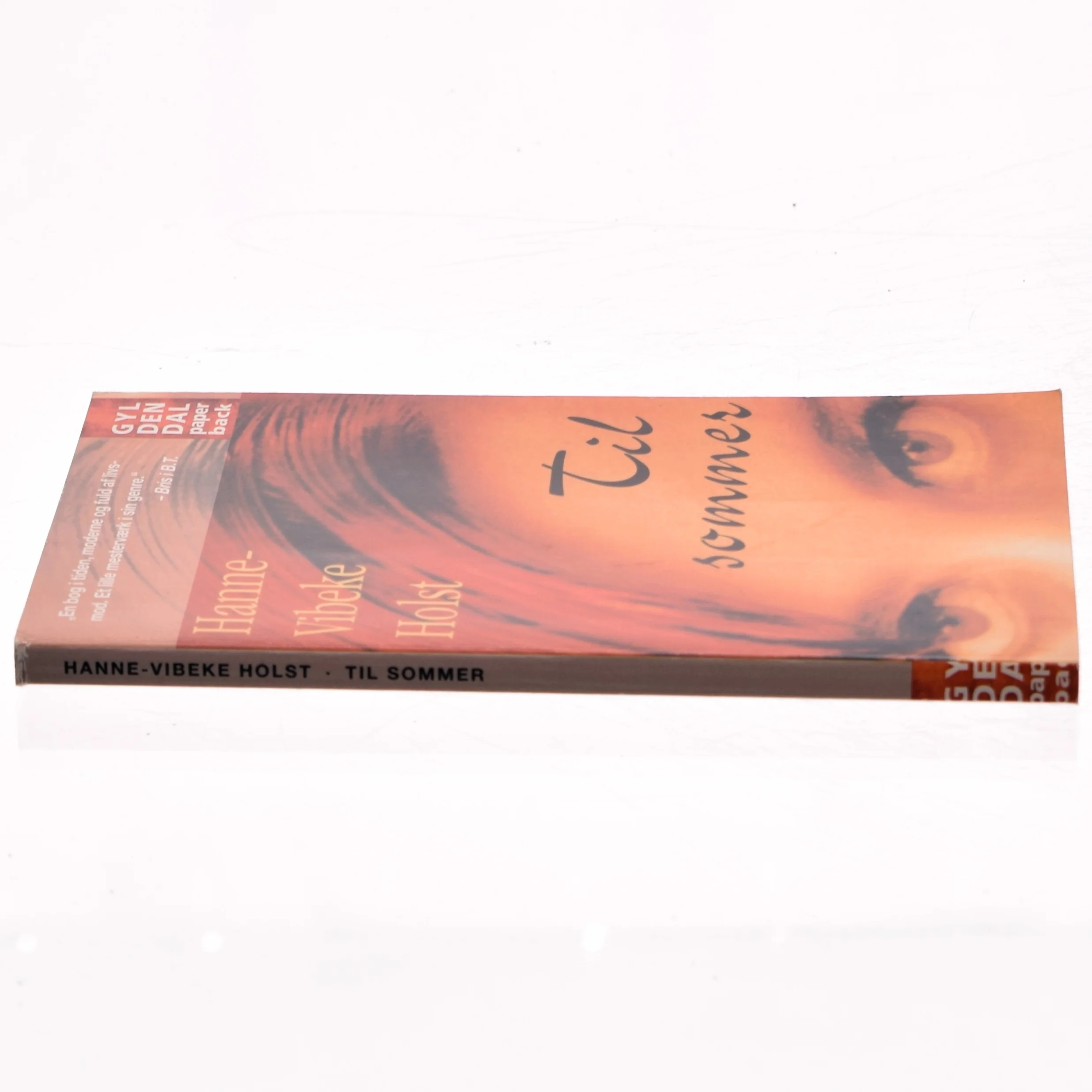 Til sommer af Hanne-Vibeke Holst (Bog)