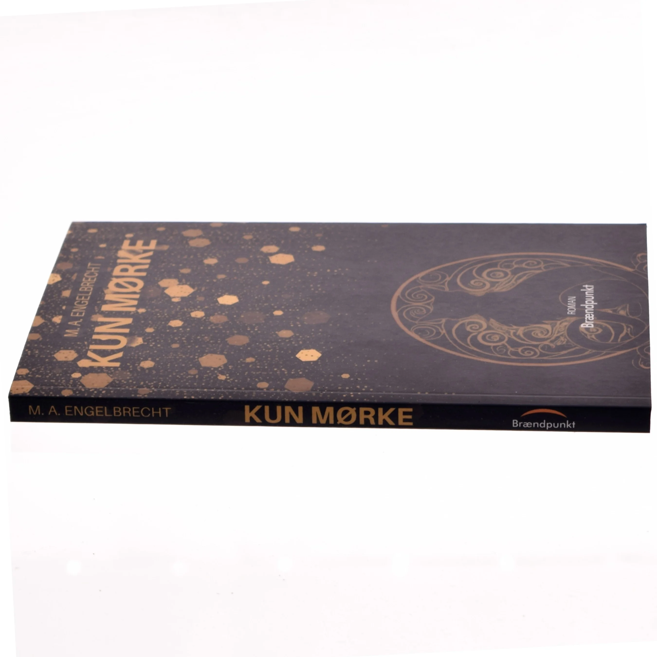 Kun mørke : roman af M. A. Engelbrecht (f. 1993) (Bog)