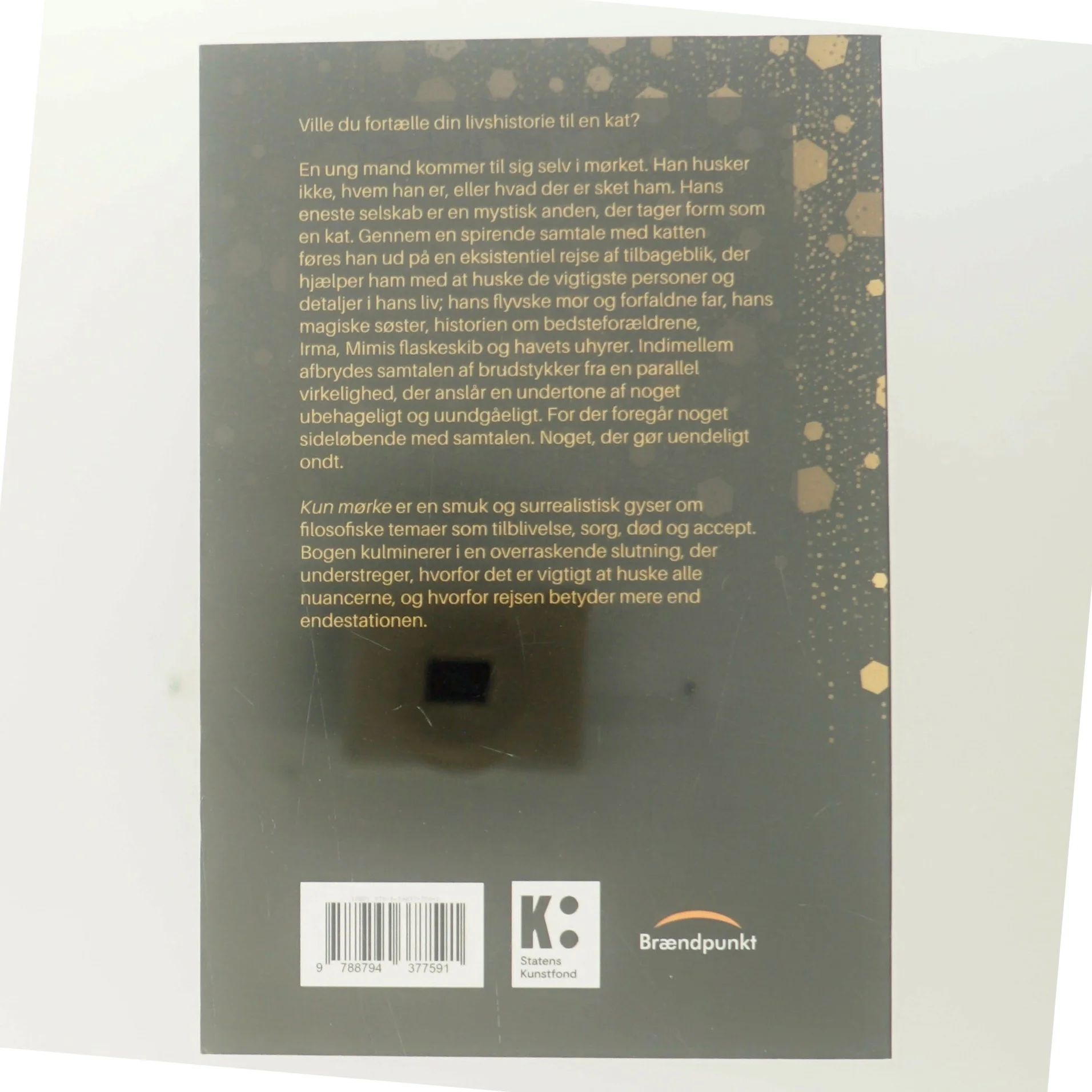 Kun mørke : roman af M. A. Engelbrecht (f. 1993) (Bog)