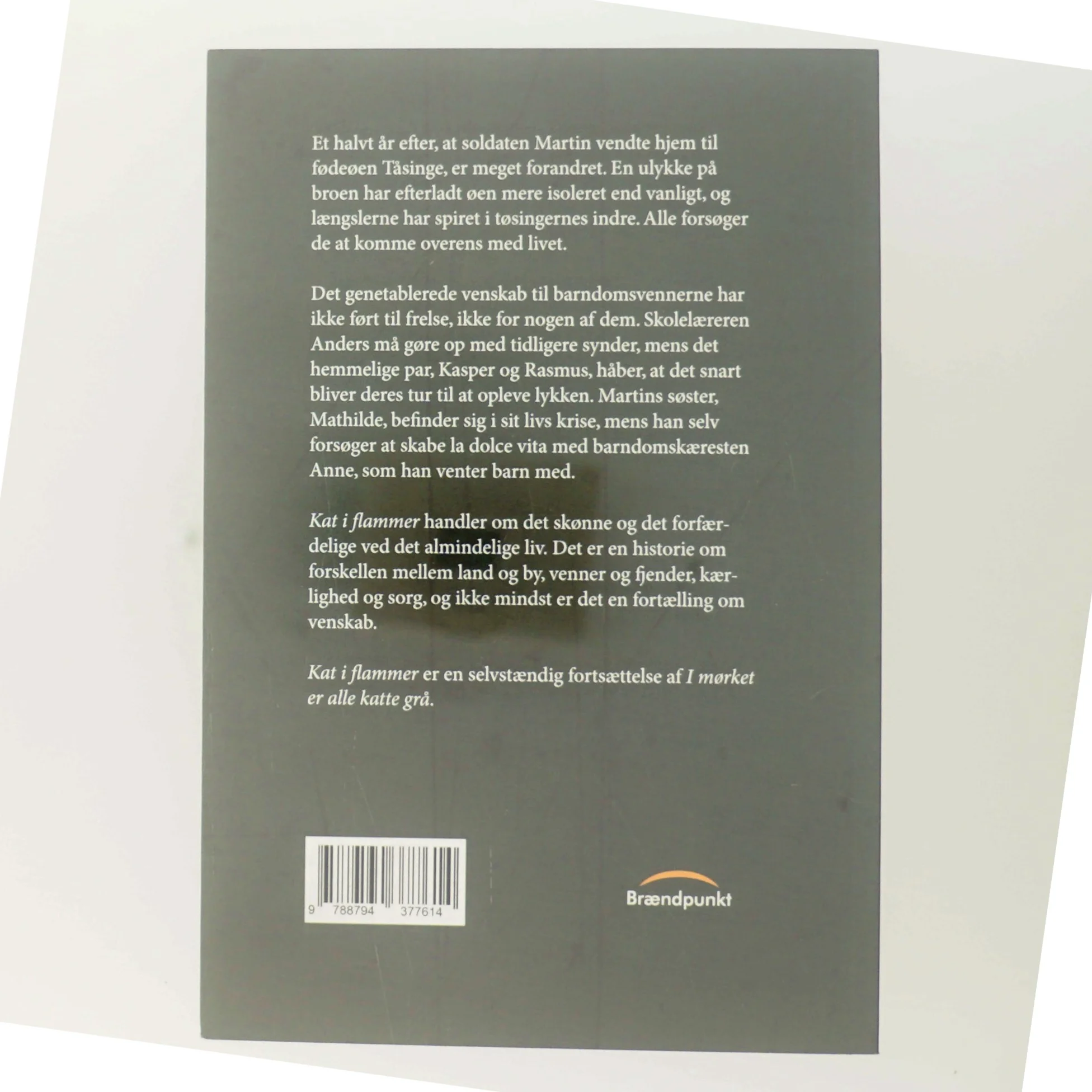 Kat i flammer : roman af Mathias Steen Hansen (f. 1992) (Bog)