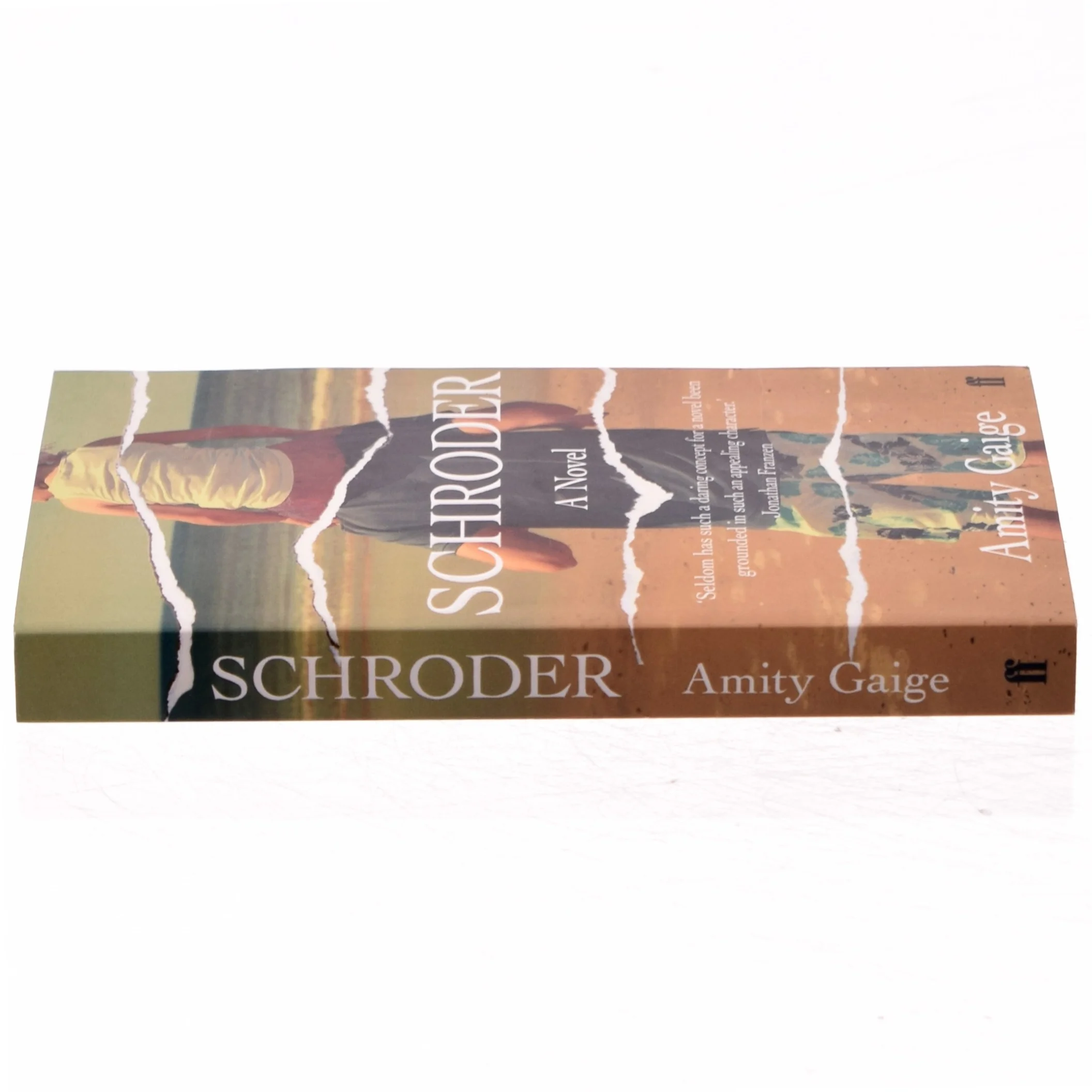 Schroder af Amity Gaige (Bog)