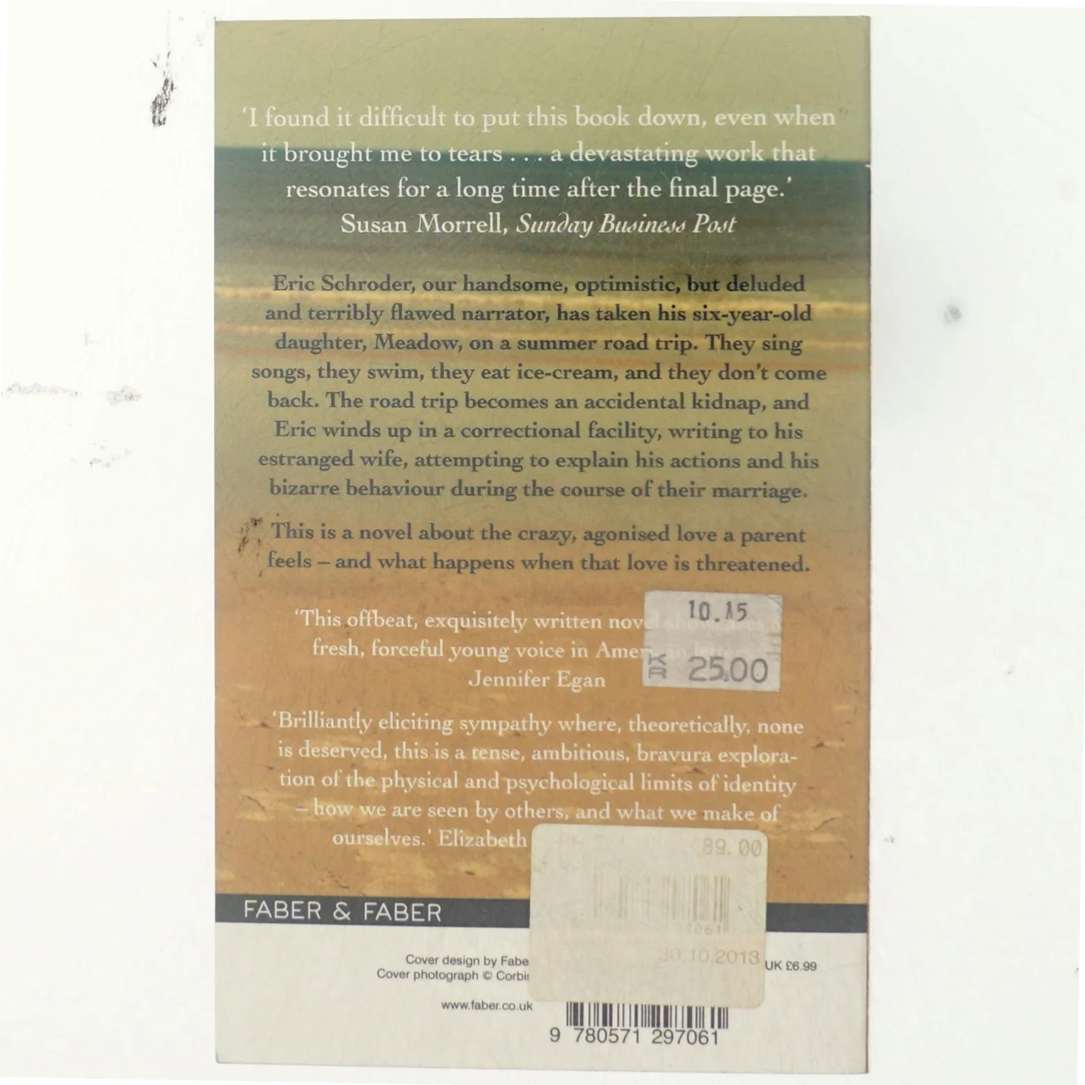 Schroder af Amity Gaige (Bog)