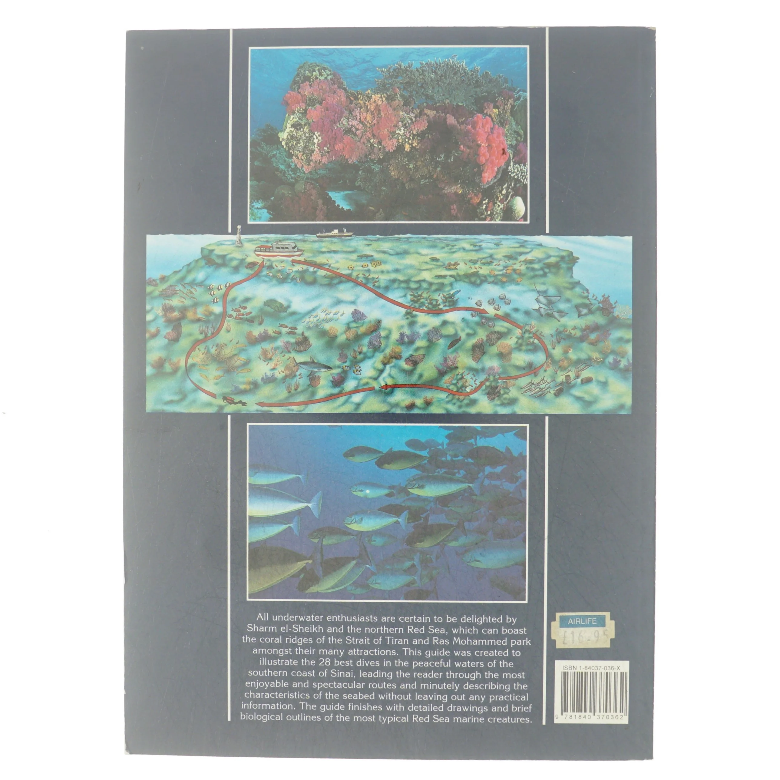 Sharm-el-Sheik af Claudio Cangini (Bog)