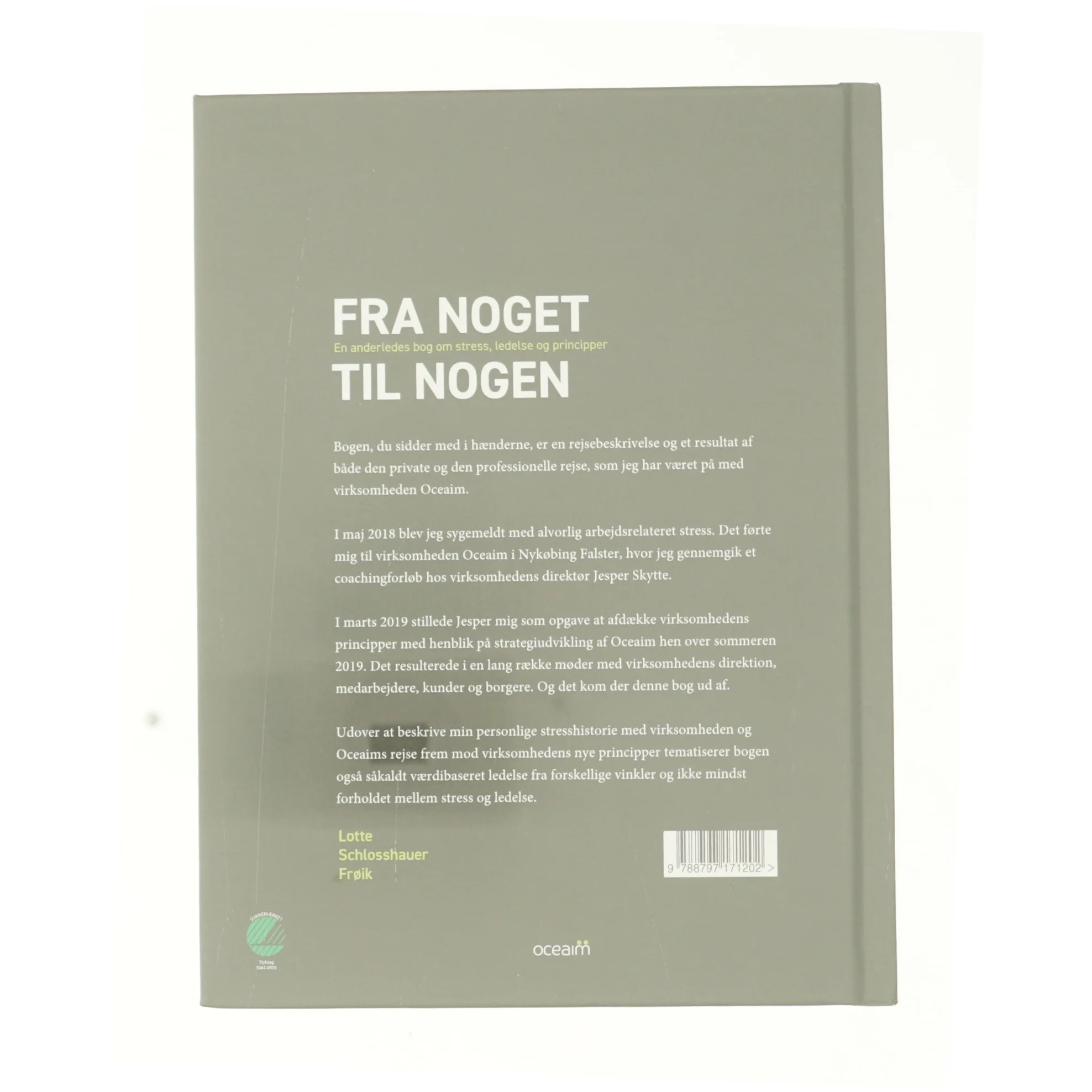 Fra noget til nogen af Lotte Schlosshauer Frøik (Bog)