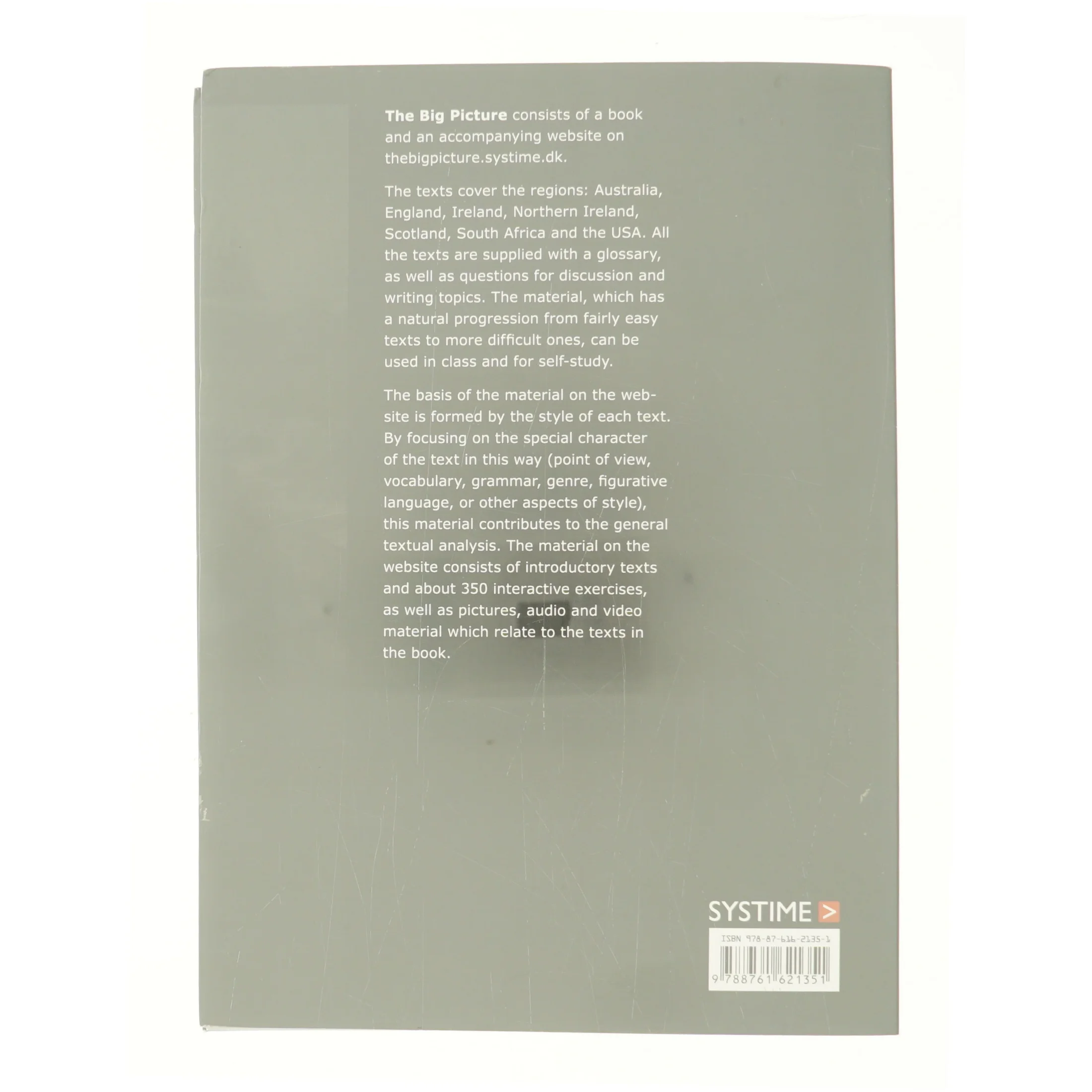 The big picture (Bog)