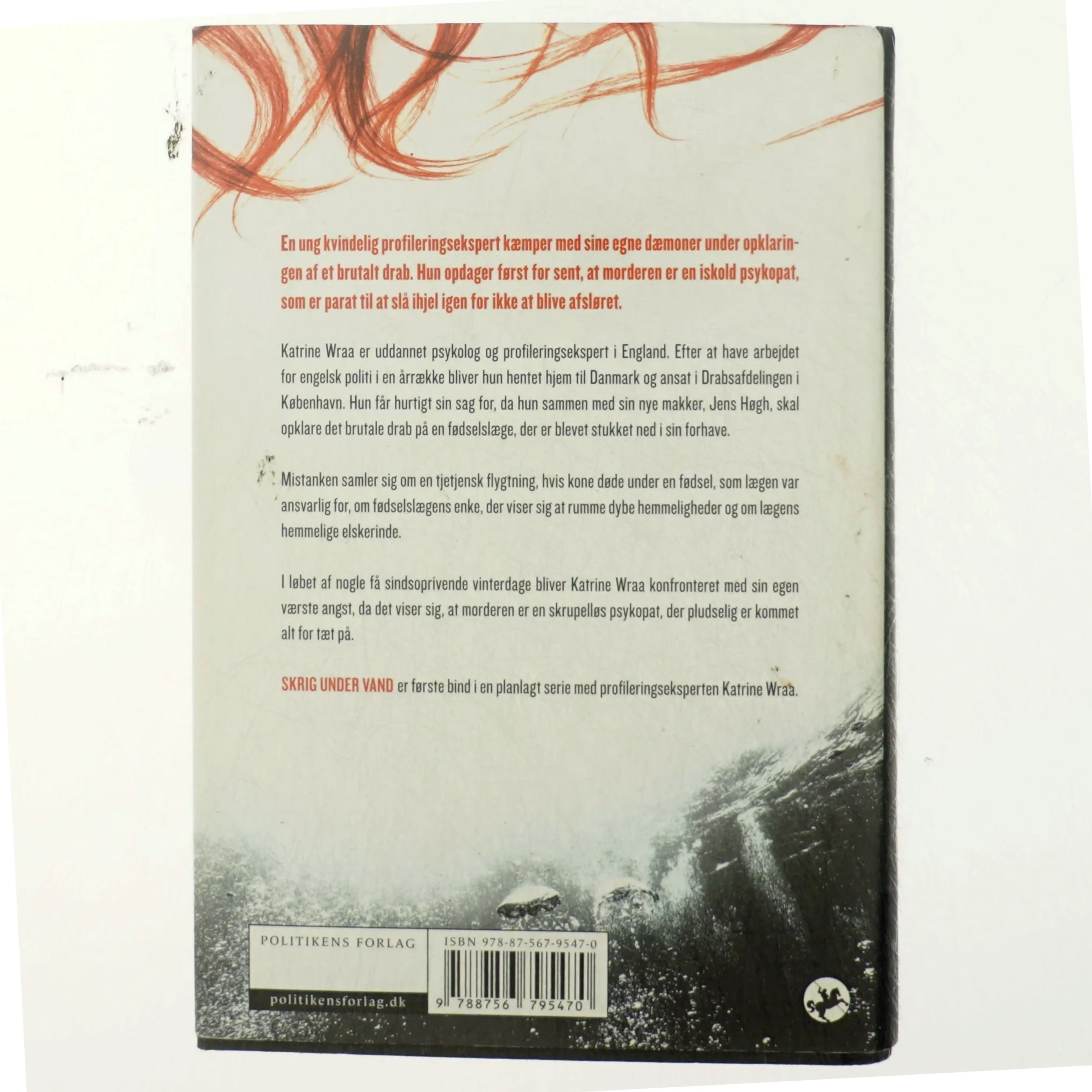 Am Ende Eines Sommers, Roman,, Aus Dem Englischen Von Rainer Schmidt (Bog)