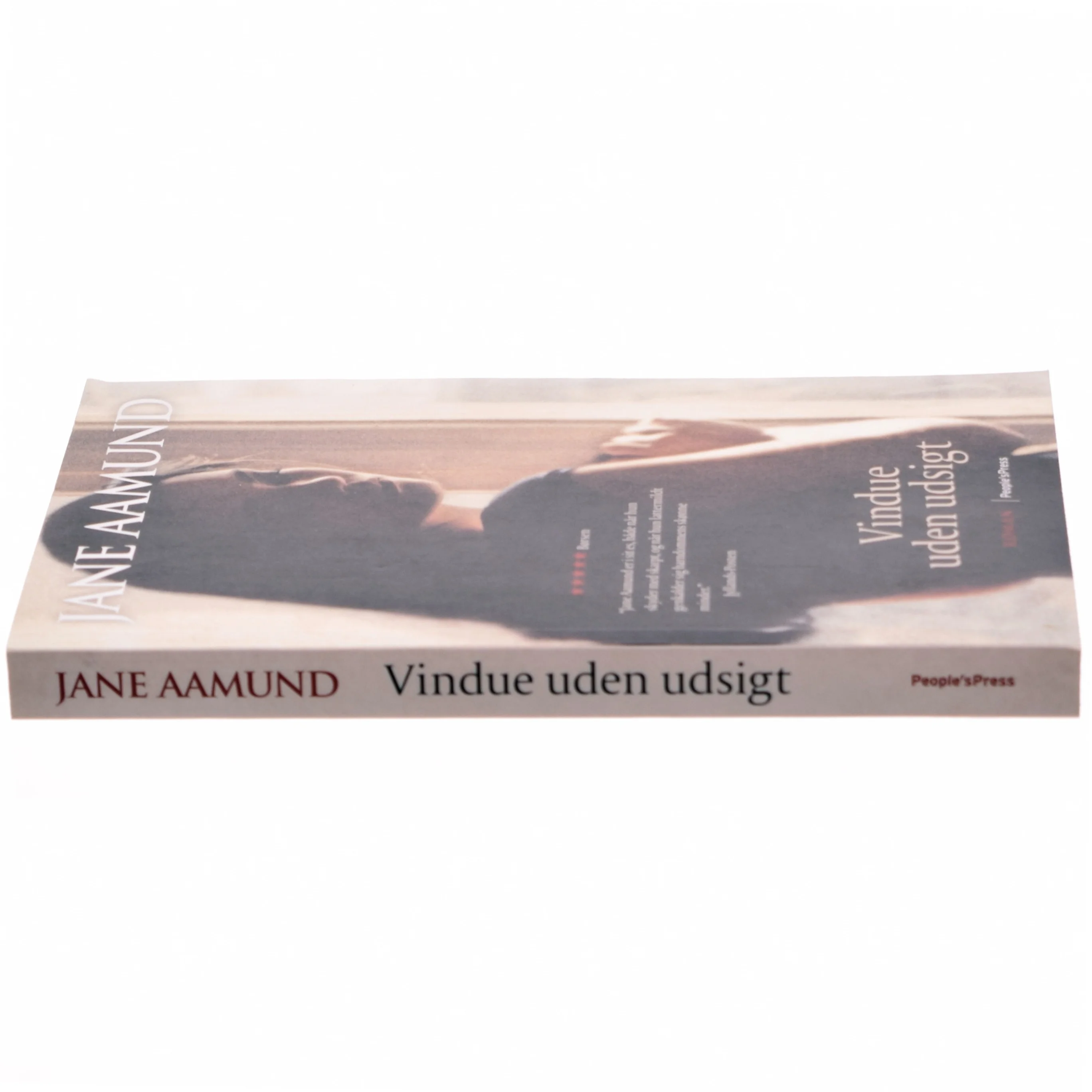 Vindue uden udsigt af Jane Aamund (Bog)