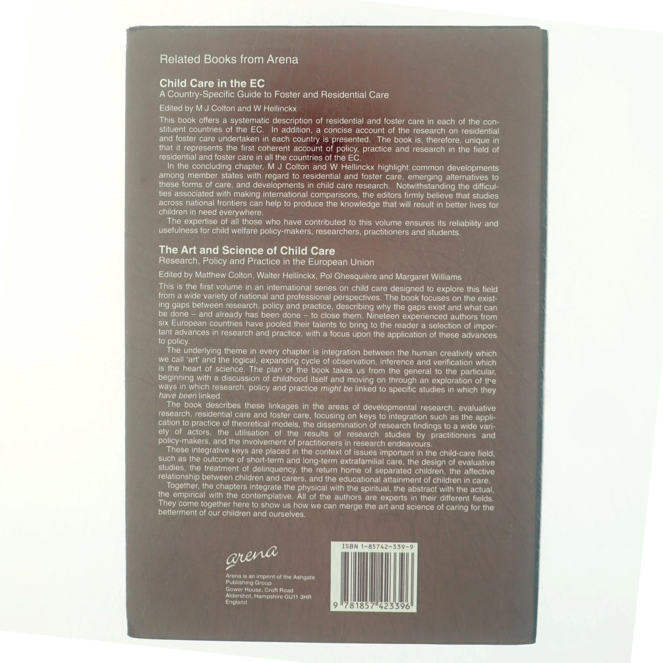 The World of Foster Care af M. J. Colton, Margaret Williams (Bog)