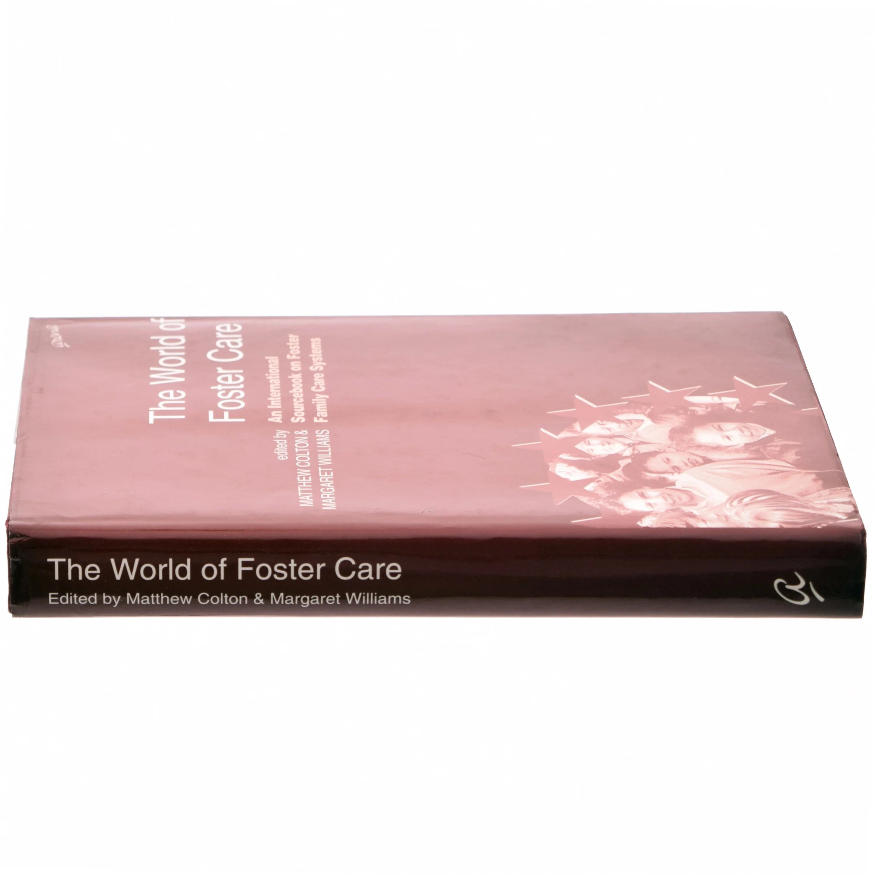 The World of Foster Care af M. J. Colton, Margaret Williams (Bog)