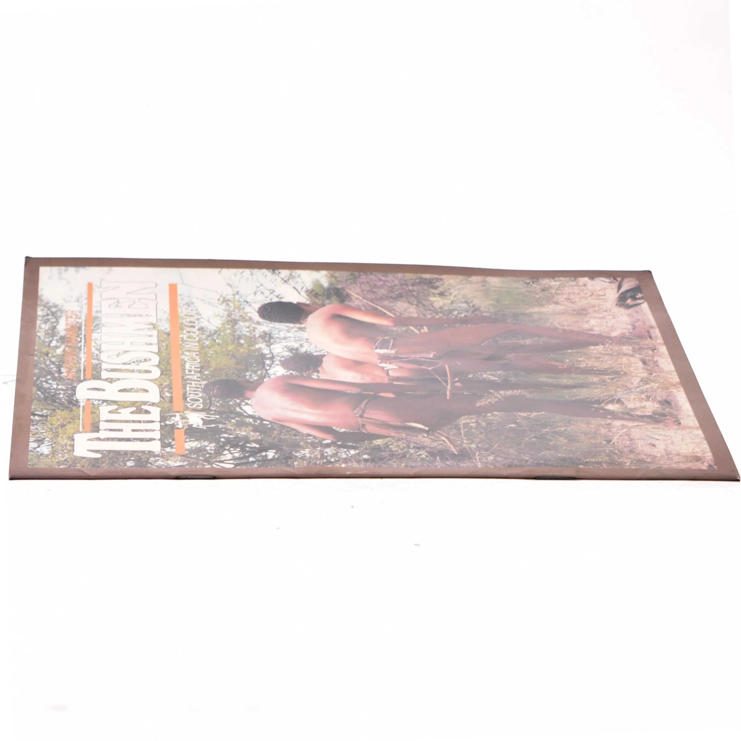 The Bushmen af Anthony Bannister (Bog)