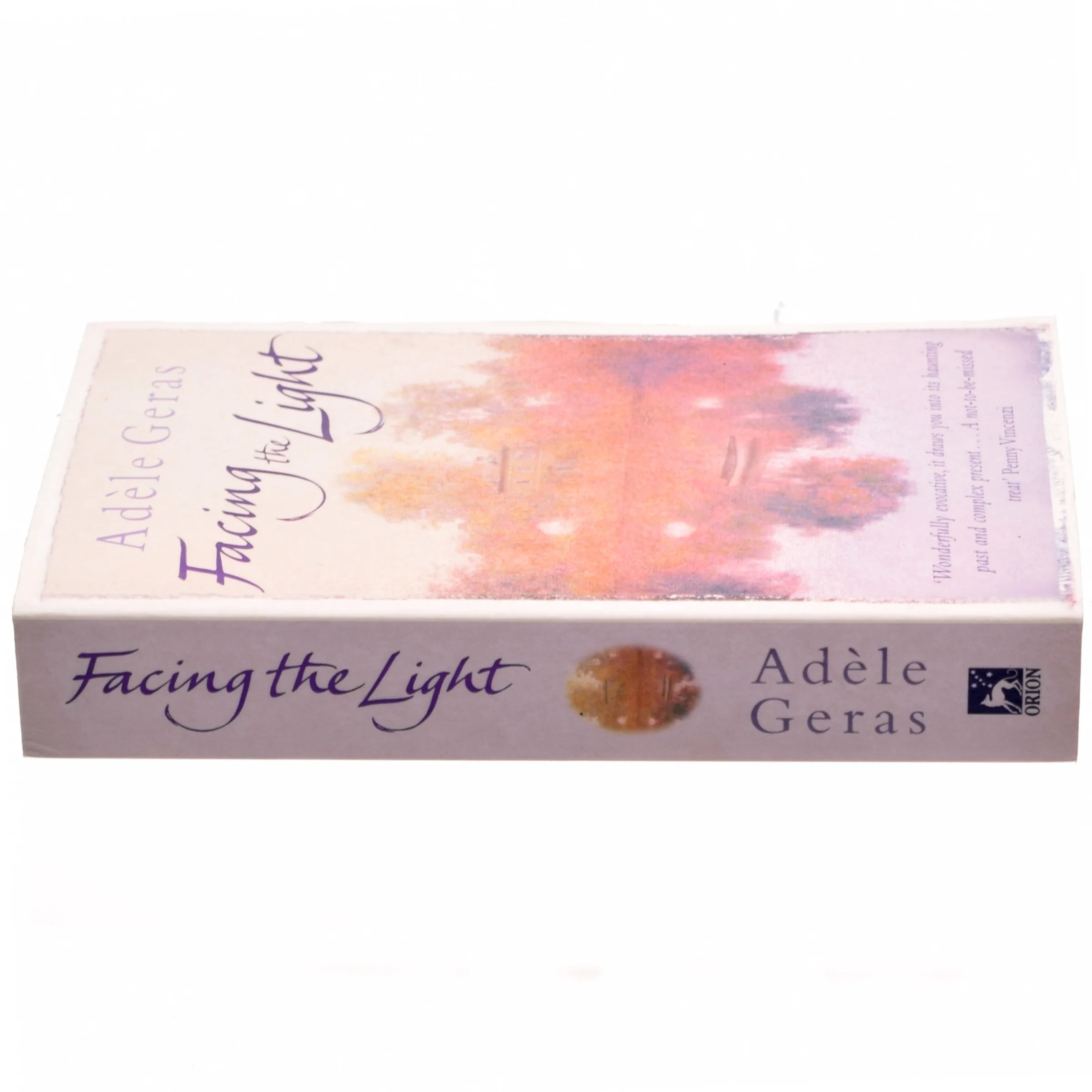 Facing the Light af Adèle Geras (Bog)