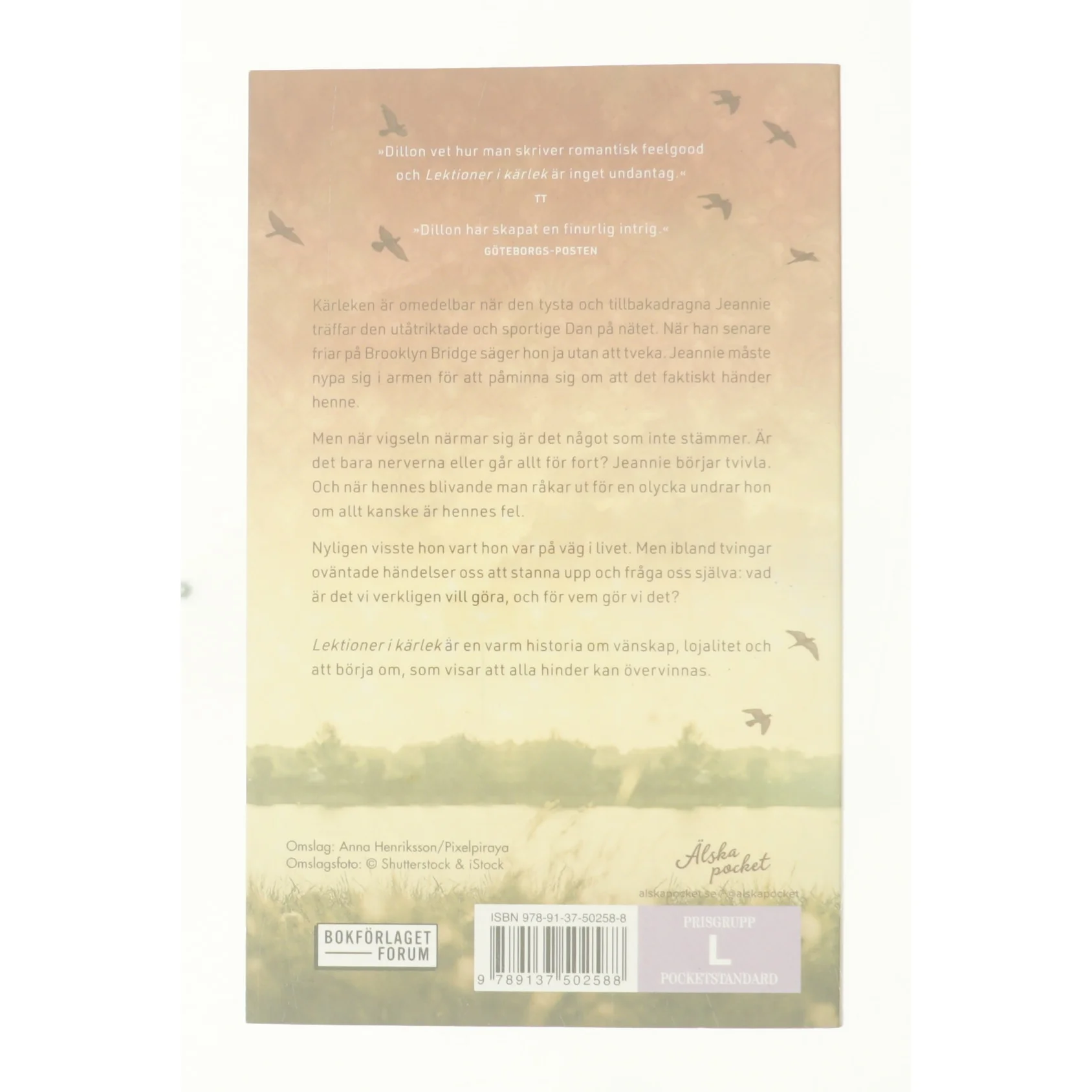 Lektionen i kärlek af Lucy Dillon (bog)