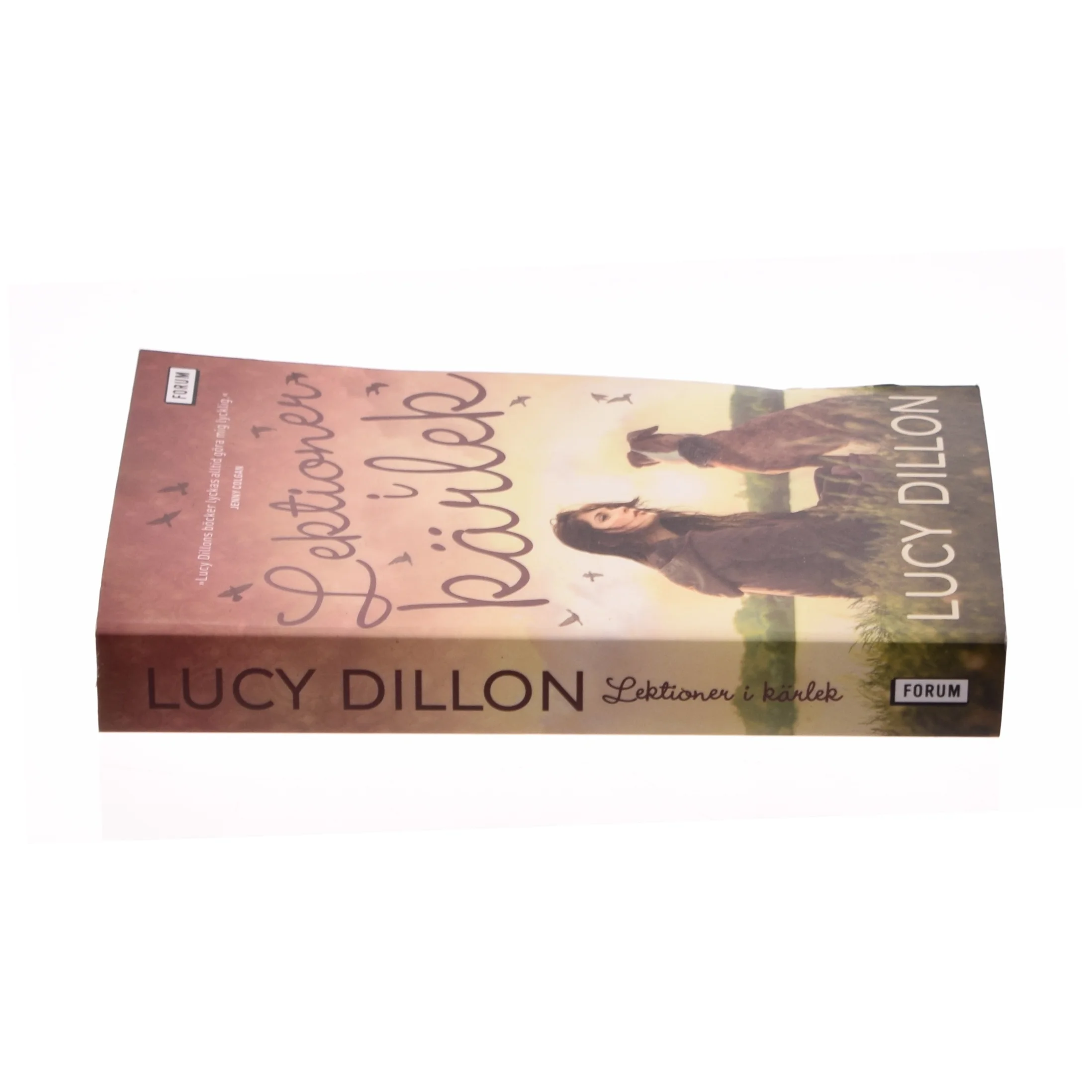 Lektionen i kärlek af Lucy Dillon (bog)