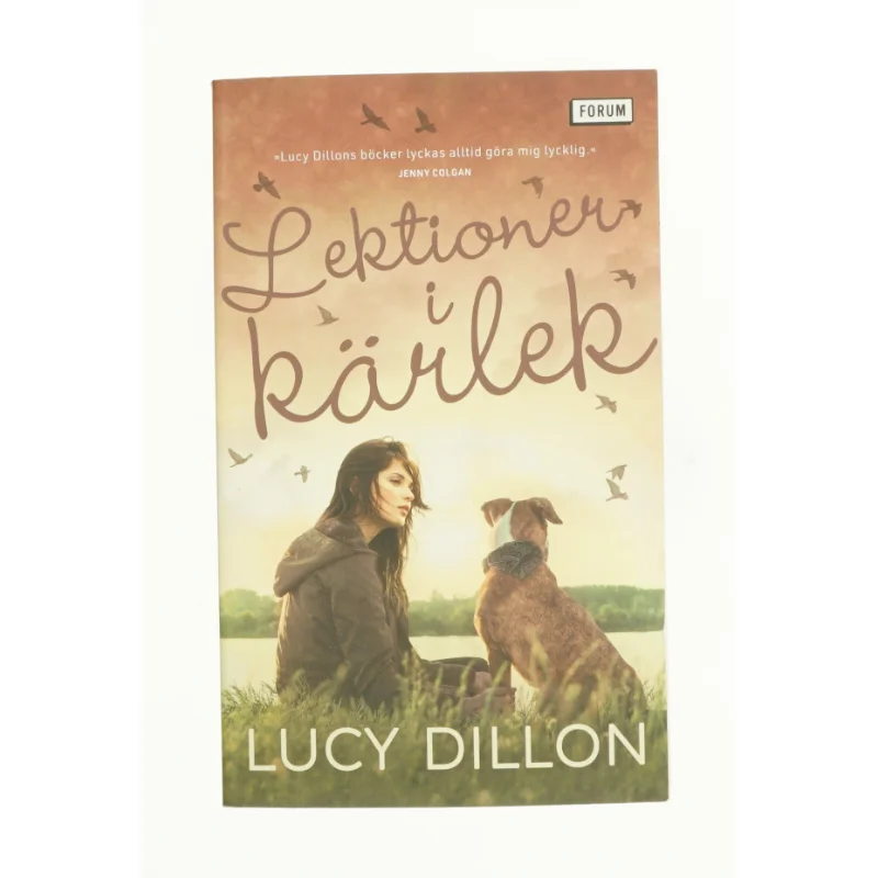 Lektionen i kärlek af Lucy Dillon (bog)