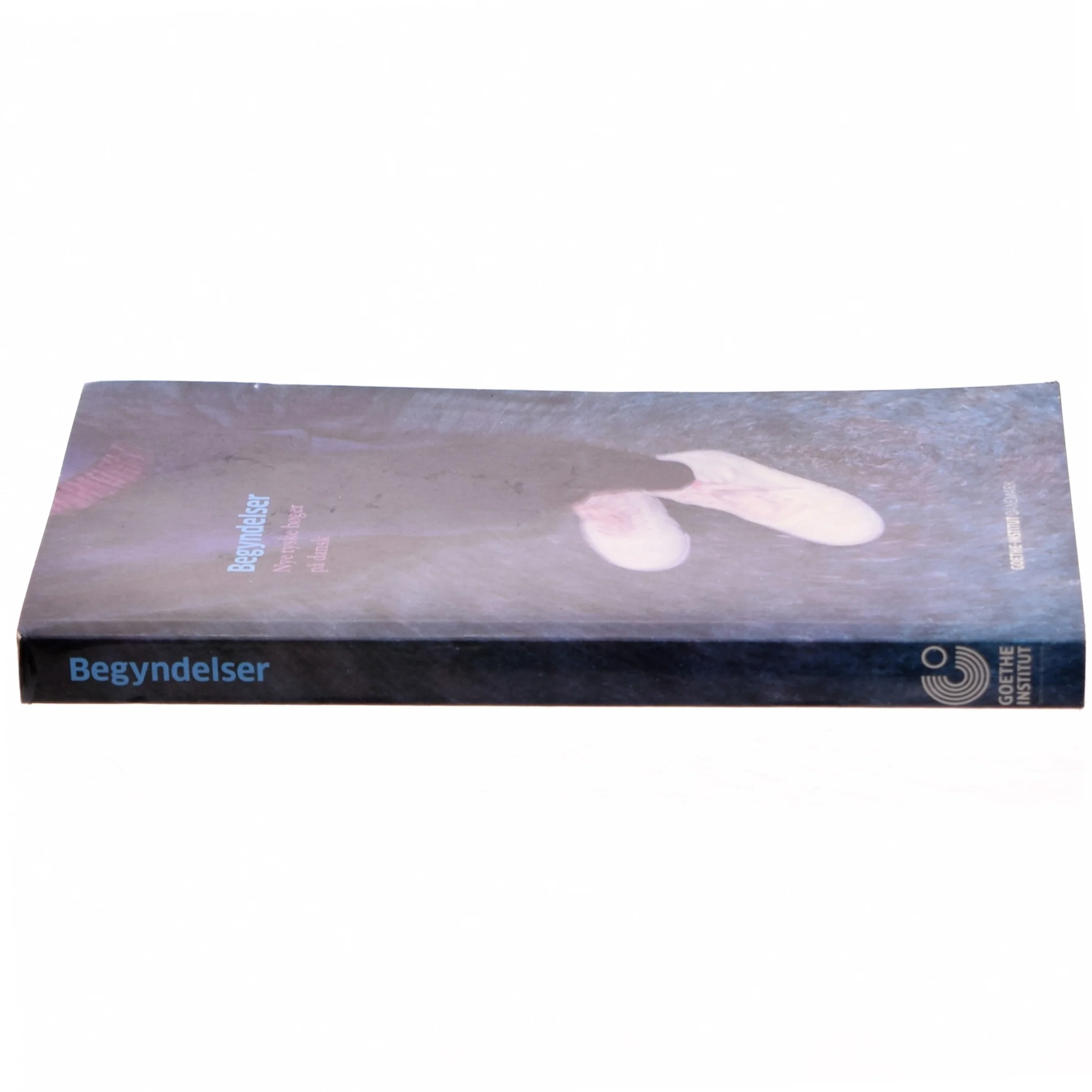 Begyndelser : nye tyske bøger på dansk, 2010-2013 (Bog)