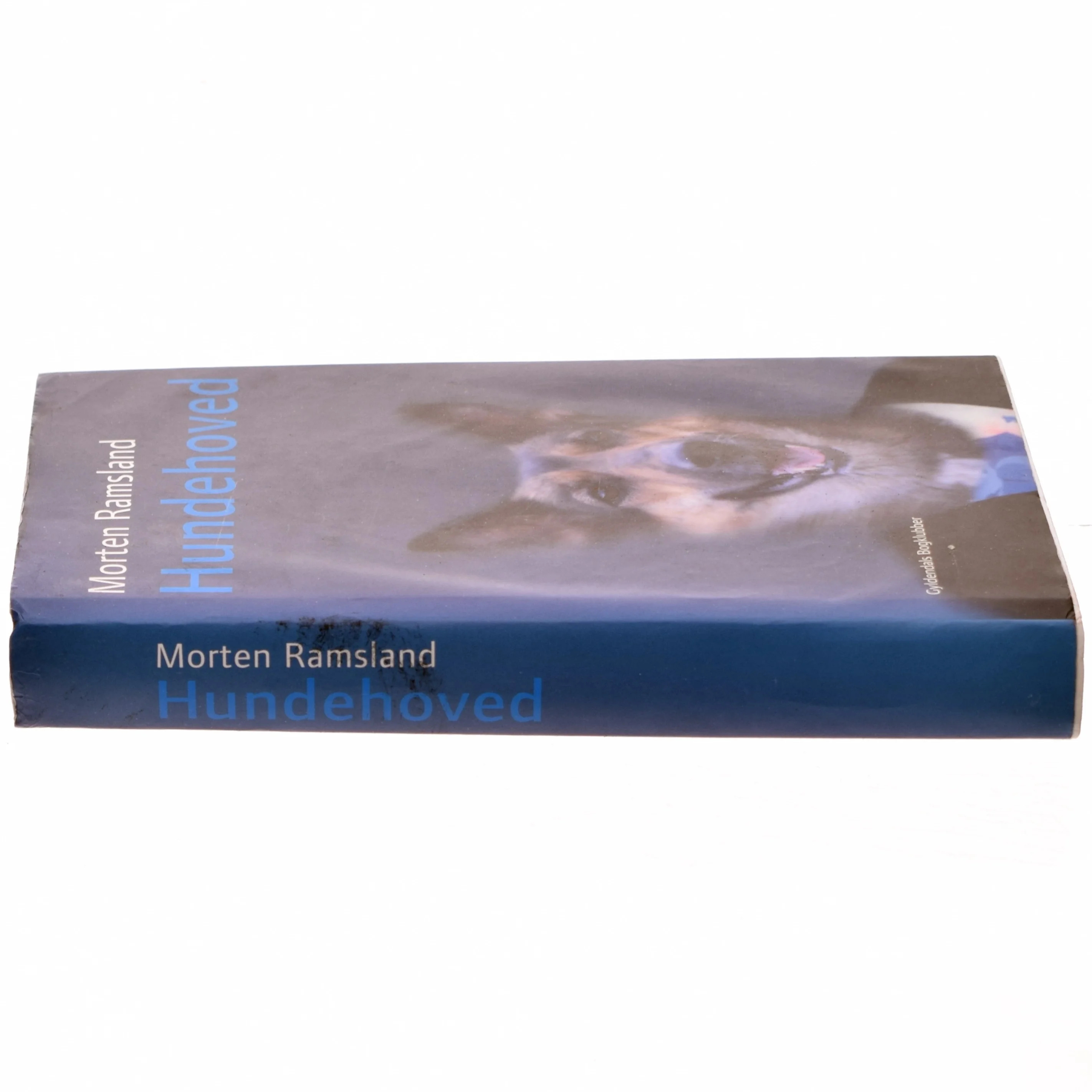 Hundehoved : roman af Morten Ramsland (Bog)