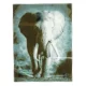 Glasramme med elefant billede (str. 54 x 41 cm)