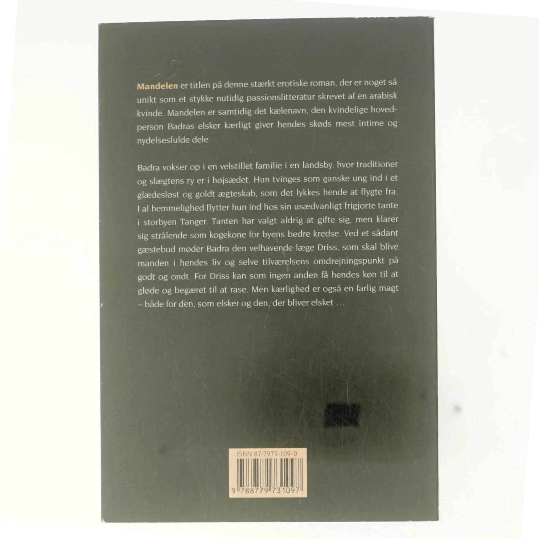 Mandelen af Nedjma (Bog)