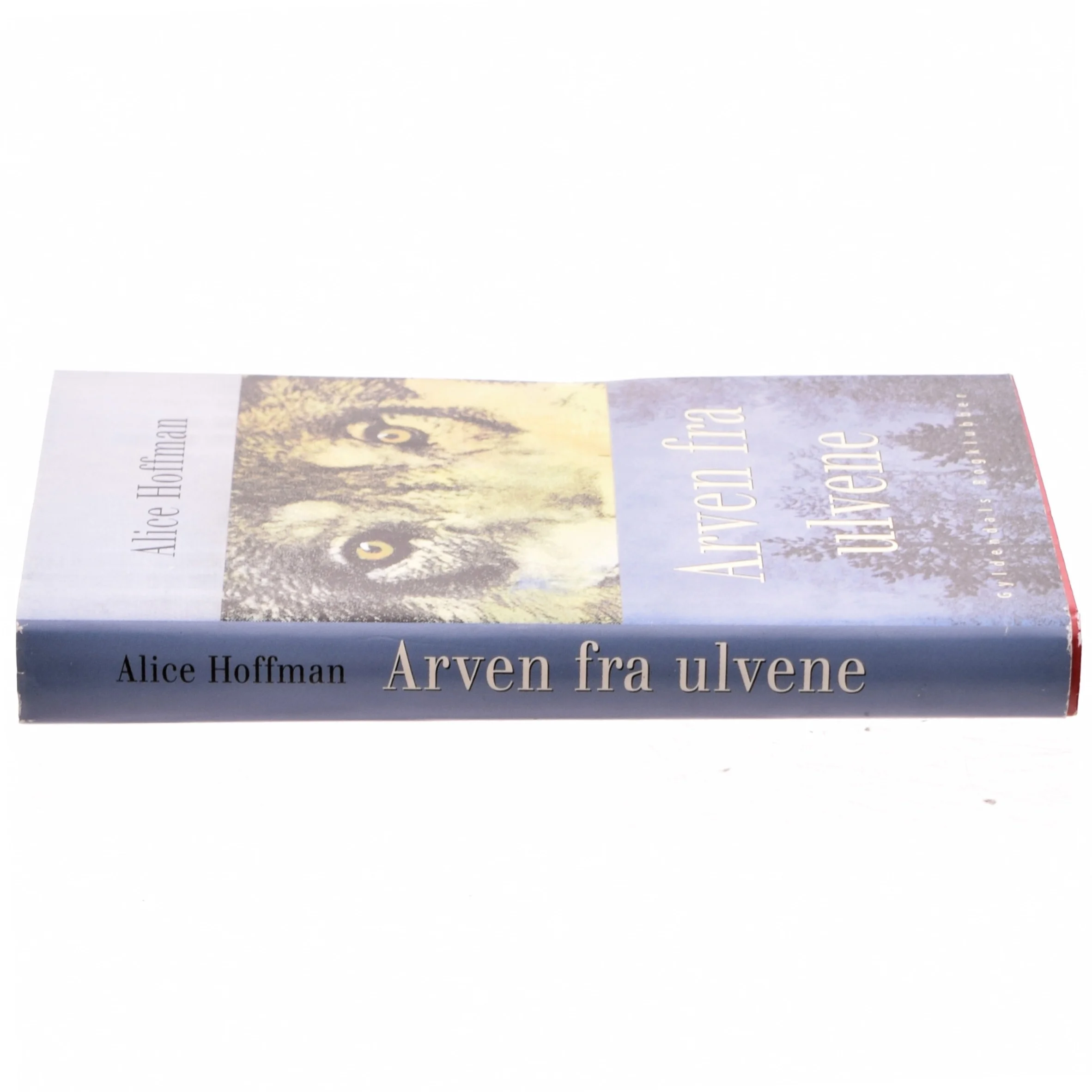 Arven fra ulvene : roman af Alice Hoffman (Bog)