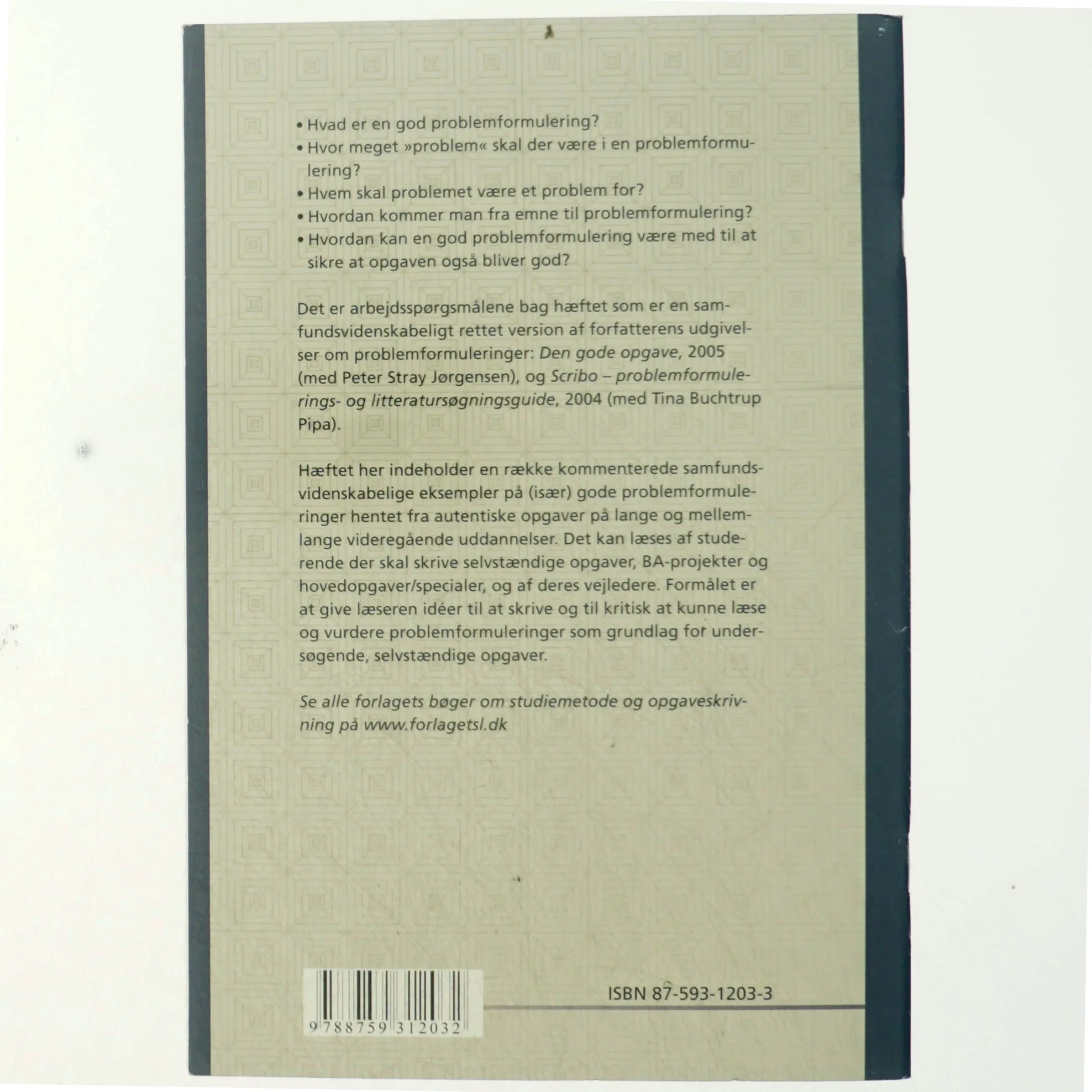 Problemformulering på de samfundsvidenskabelige uddannelser af Lotte Rienecker (Bog)