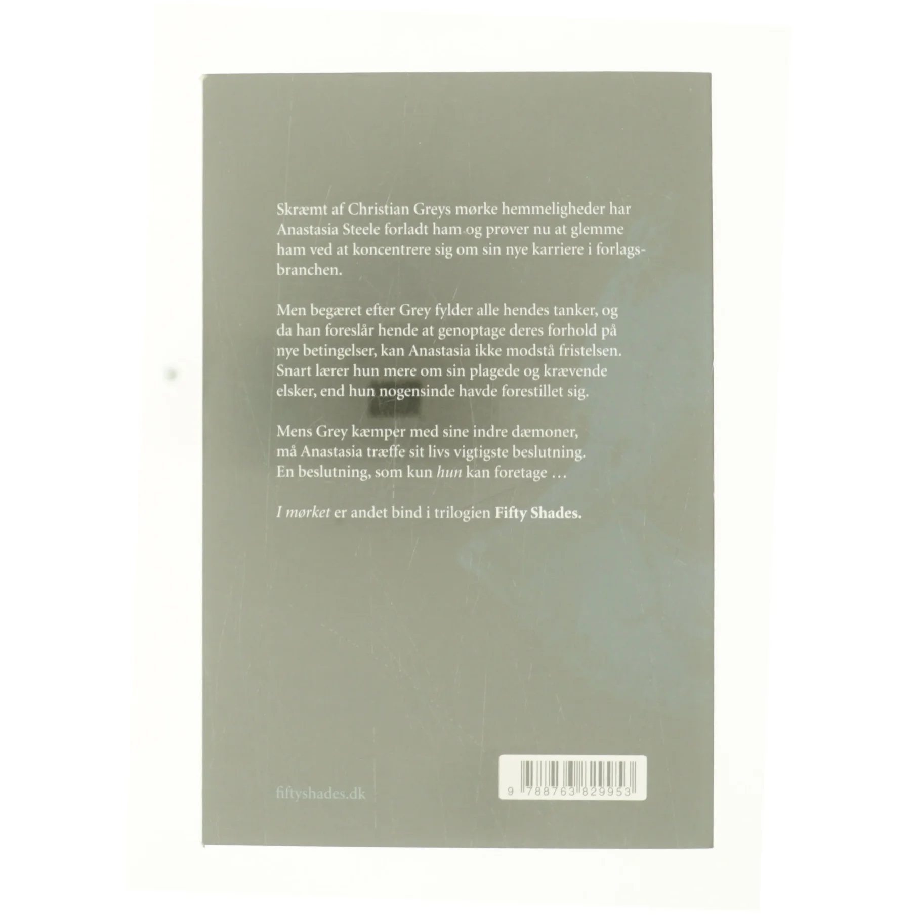 Fiftu Shades - I mørket af E. L. James (Bog)