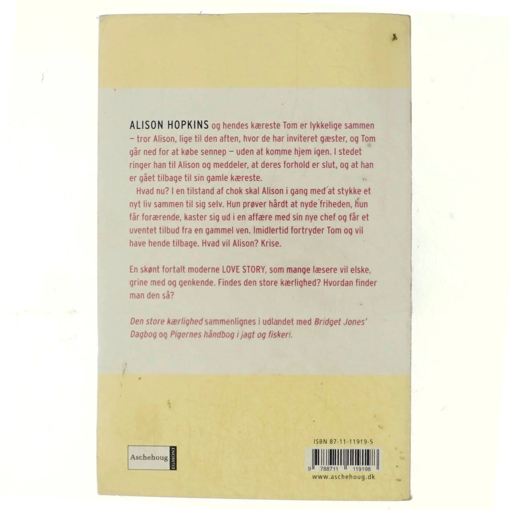 Den store kærlighed af Sarah Dunn (Bog)