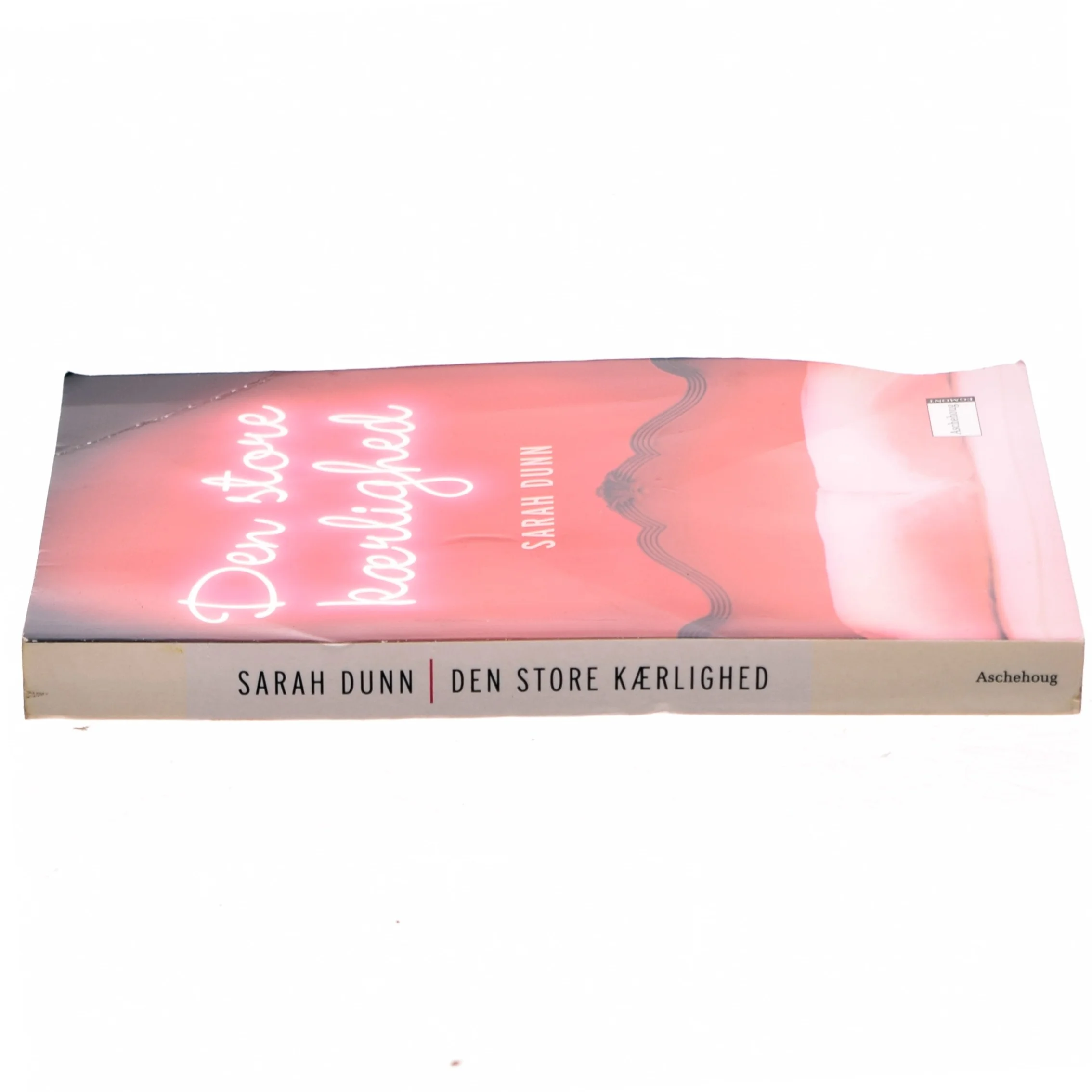 Den store kærlighed af Sarah Dunn (Bog)