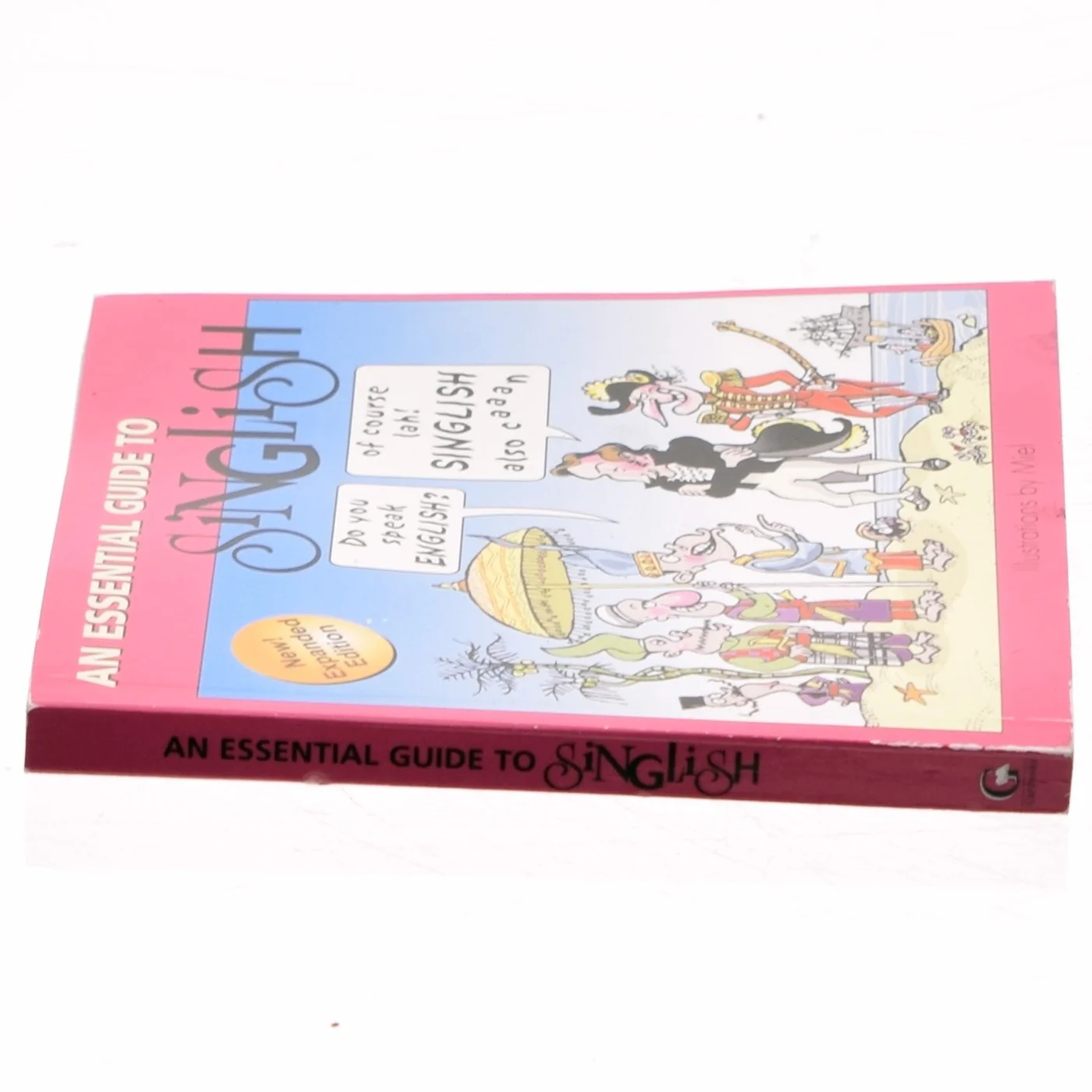 An essential guide to singlish